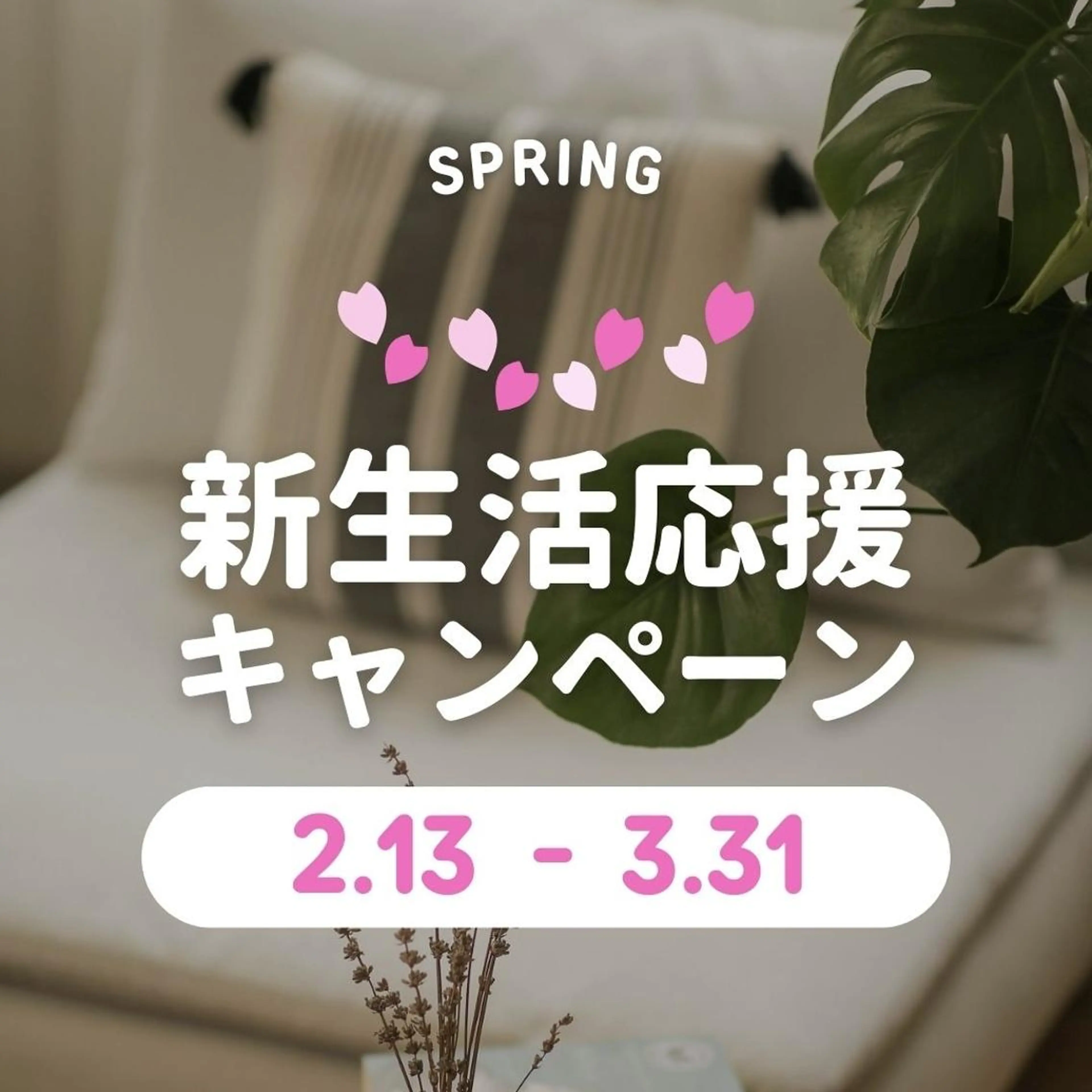 🌟新生活応援キャンペーン🌟まつ毛パーマ🎀コーティング付き🤍の写真