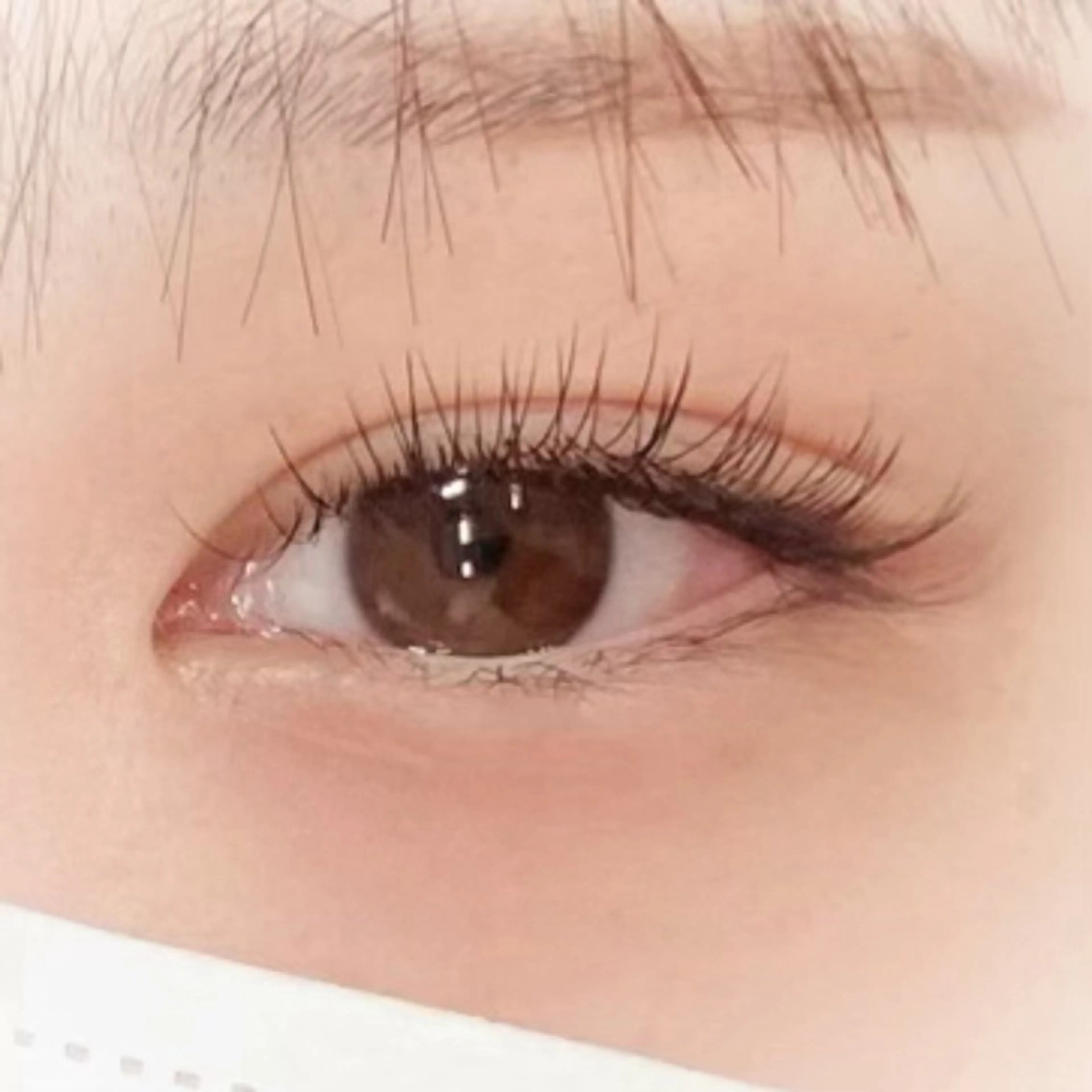 マツエク・マツパ まつげと眉毛のお店Sakura Lash【サクララッシュ】所属・【ダメージケア特化】 🌸 サクララッシュの眉毛・アイブロウイメージ