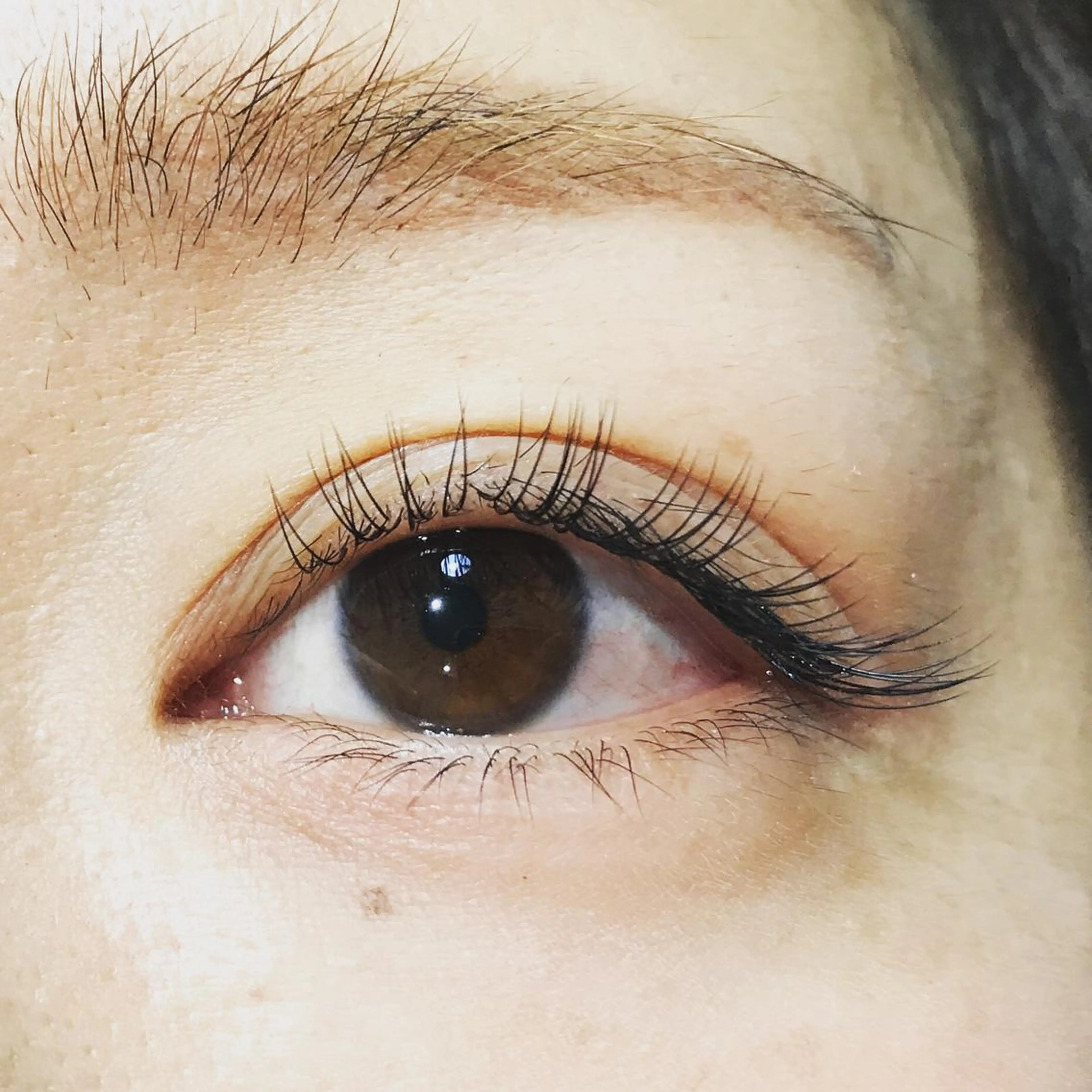 マツエク・マツパ Cカール 目尻長め にっくに ちひろの眉毛・アイブロウイメージ