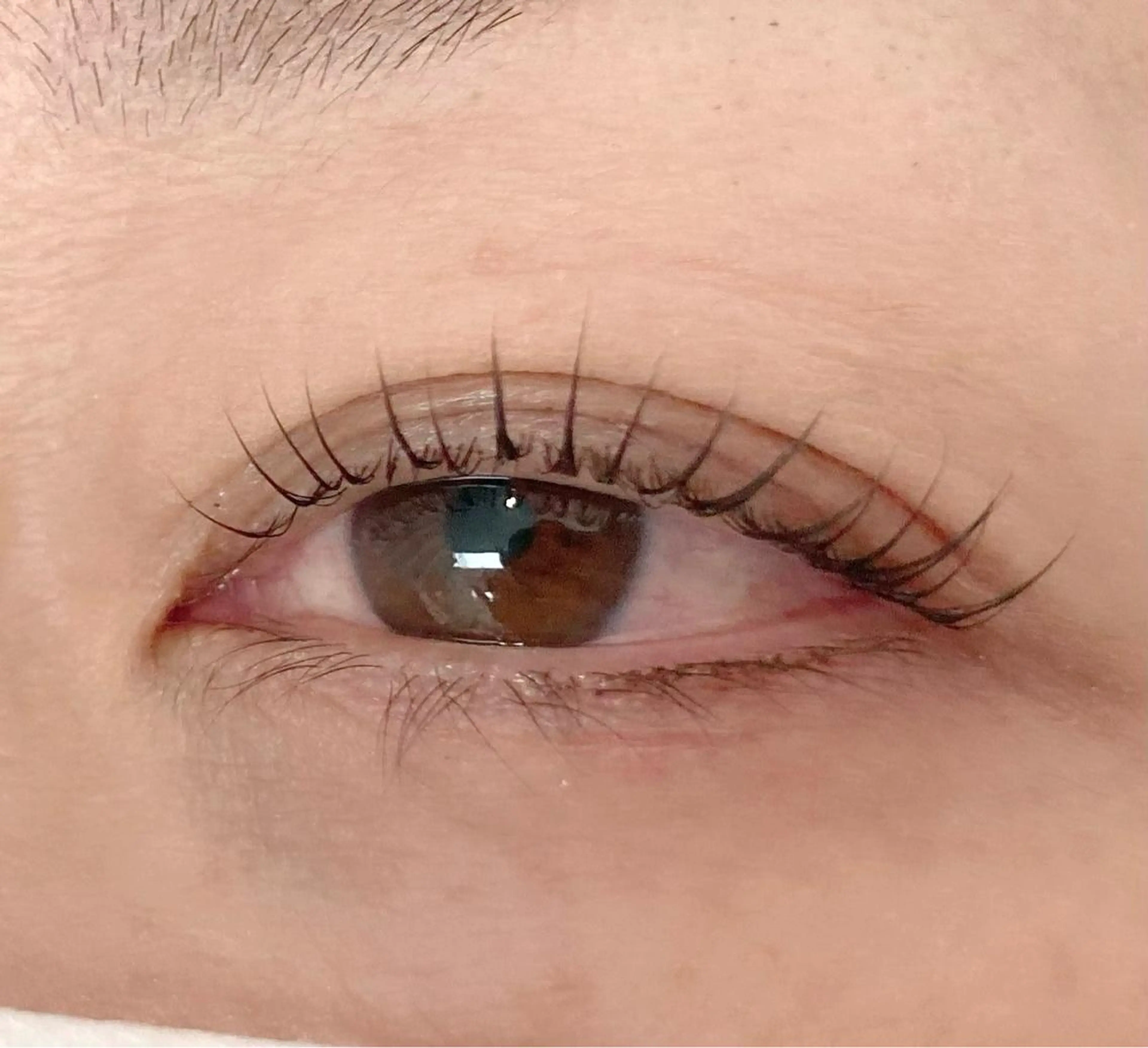 マツエク・マツパ Privatesalon tan＊tan【プライベートサロン　タンタン】所属・塚田 里香のマツエク・マツパデザイン