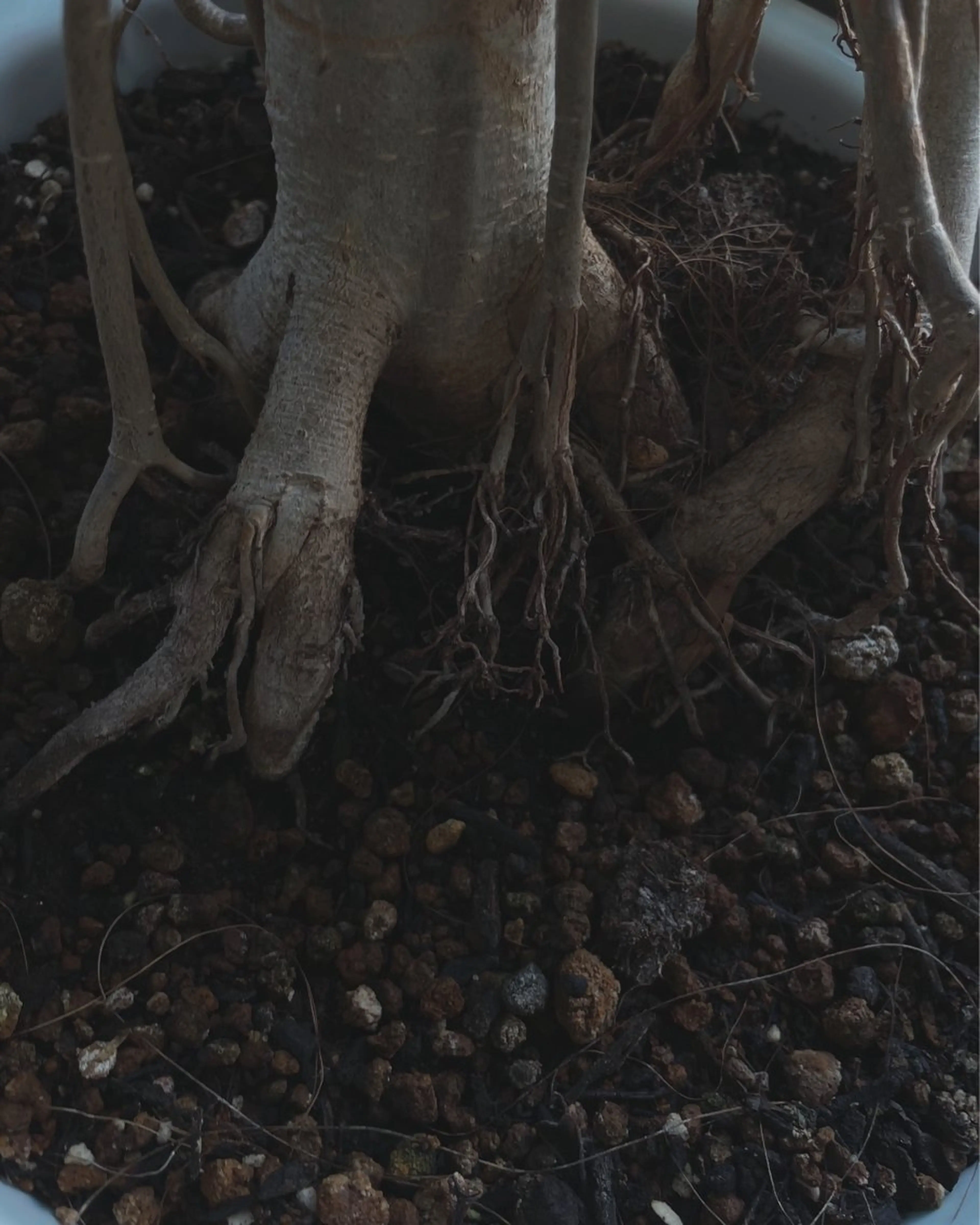 ​〜​静けさへ還る、わたしを整えるスパ​〜​【体質診断付き】4stepトリートメント付きパーソナルヘッドスパ90分¥27000→の写真