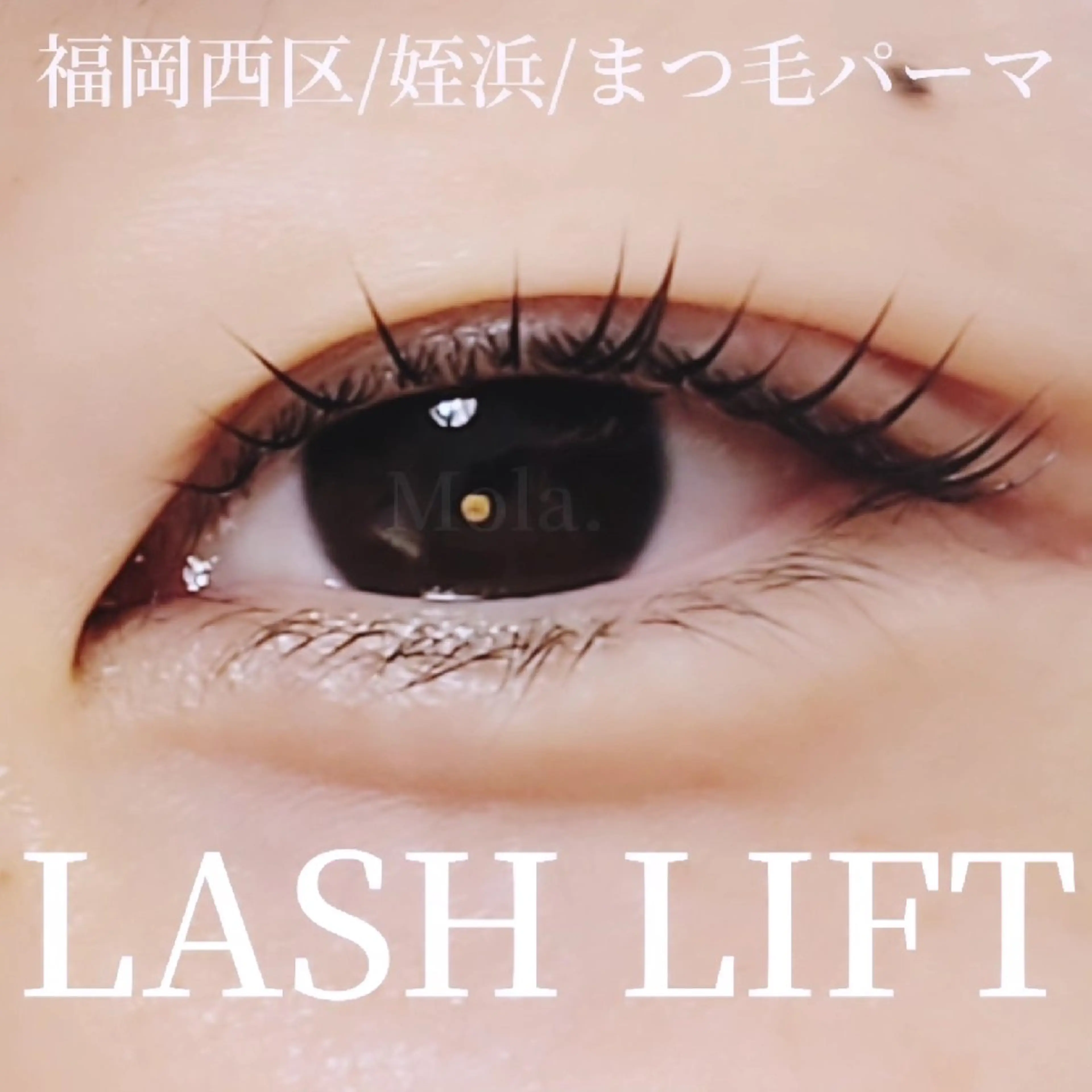マツエク・マツパ マツパ Mola. eye&beauty salon所属・【Mola.】 eyelashのマツエク・マツパデザイン