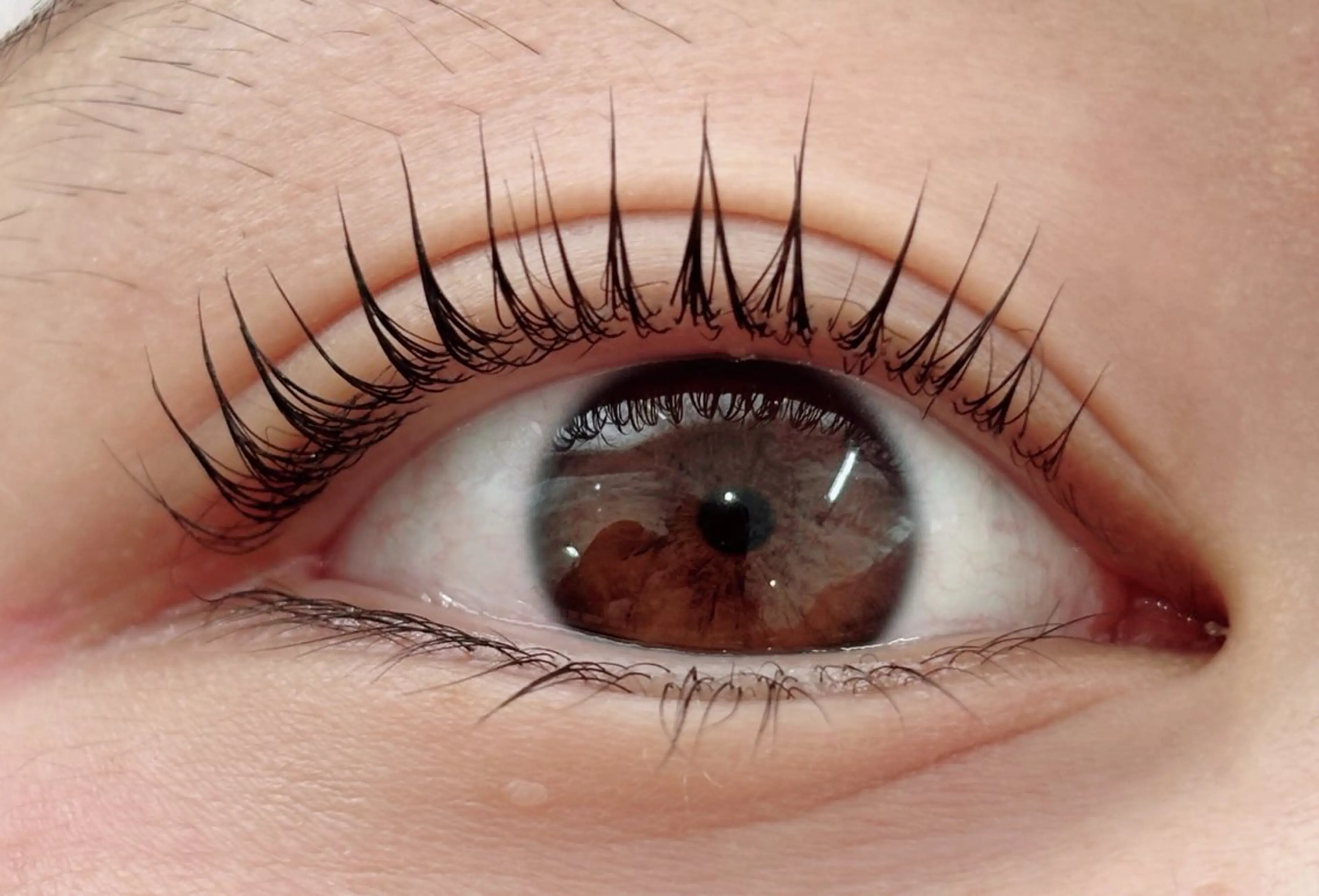 マツエク・マツパ CREA所属・木村 姫星の眉毛・アイブロウイメージ