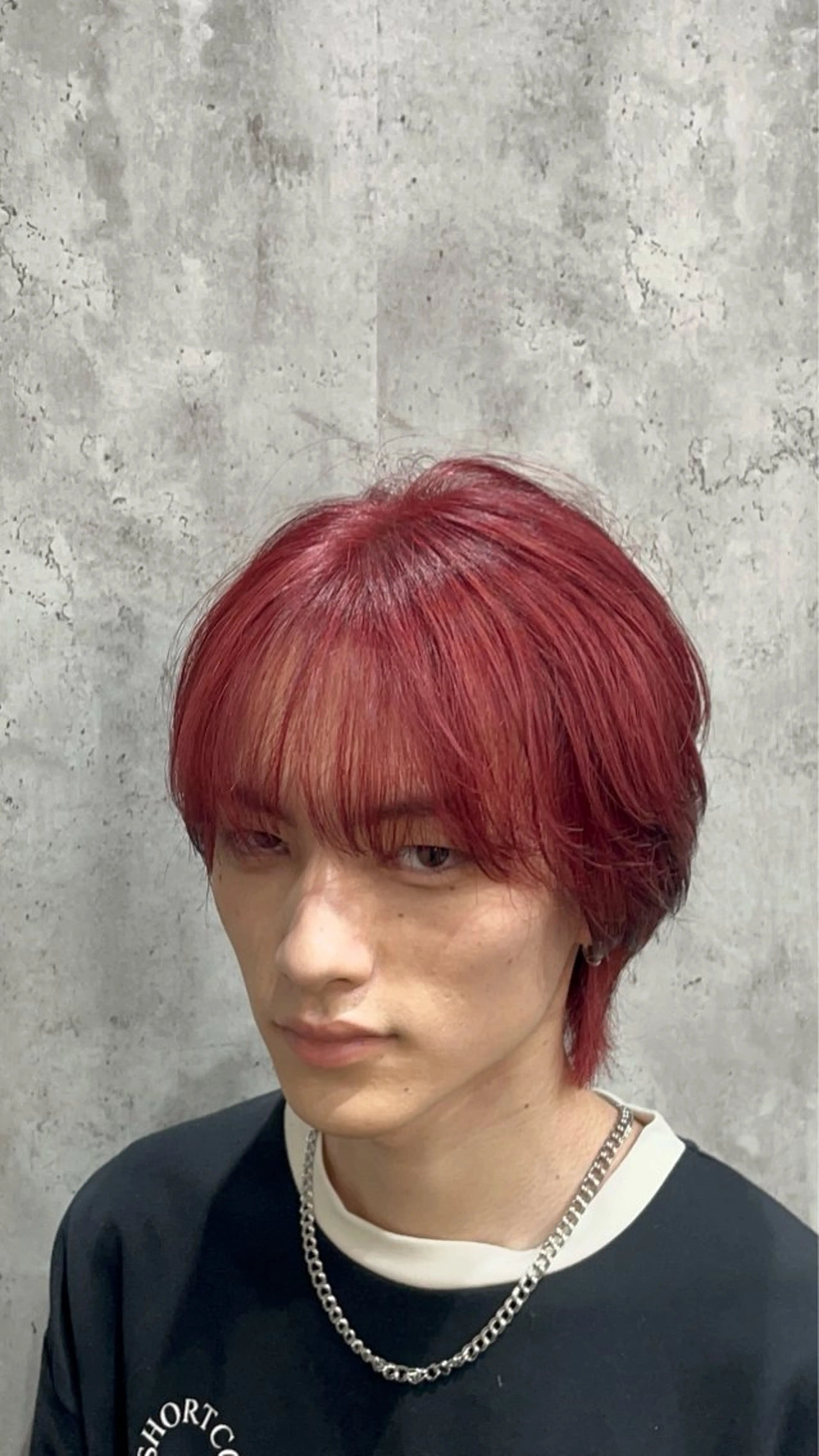 【🦄12/30まで限定🦄】ダブルカラー+デザインカラー+トリートメント#ハイトーン#シルバー#ローライトの写真