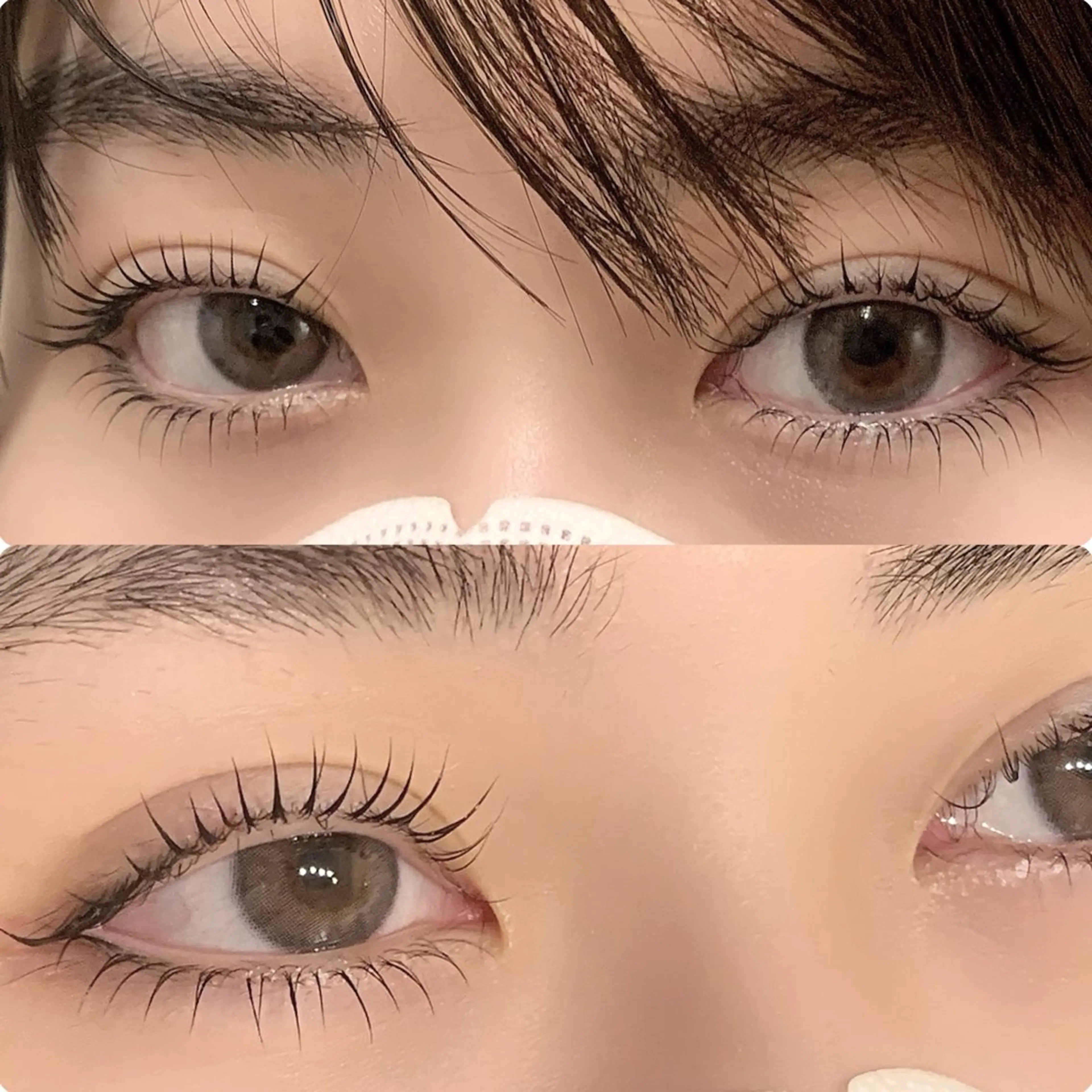 🫧上下まつげパーマ🫧の写真