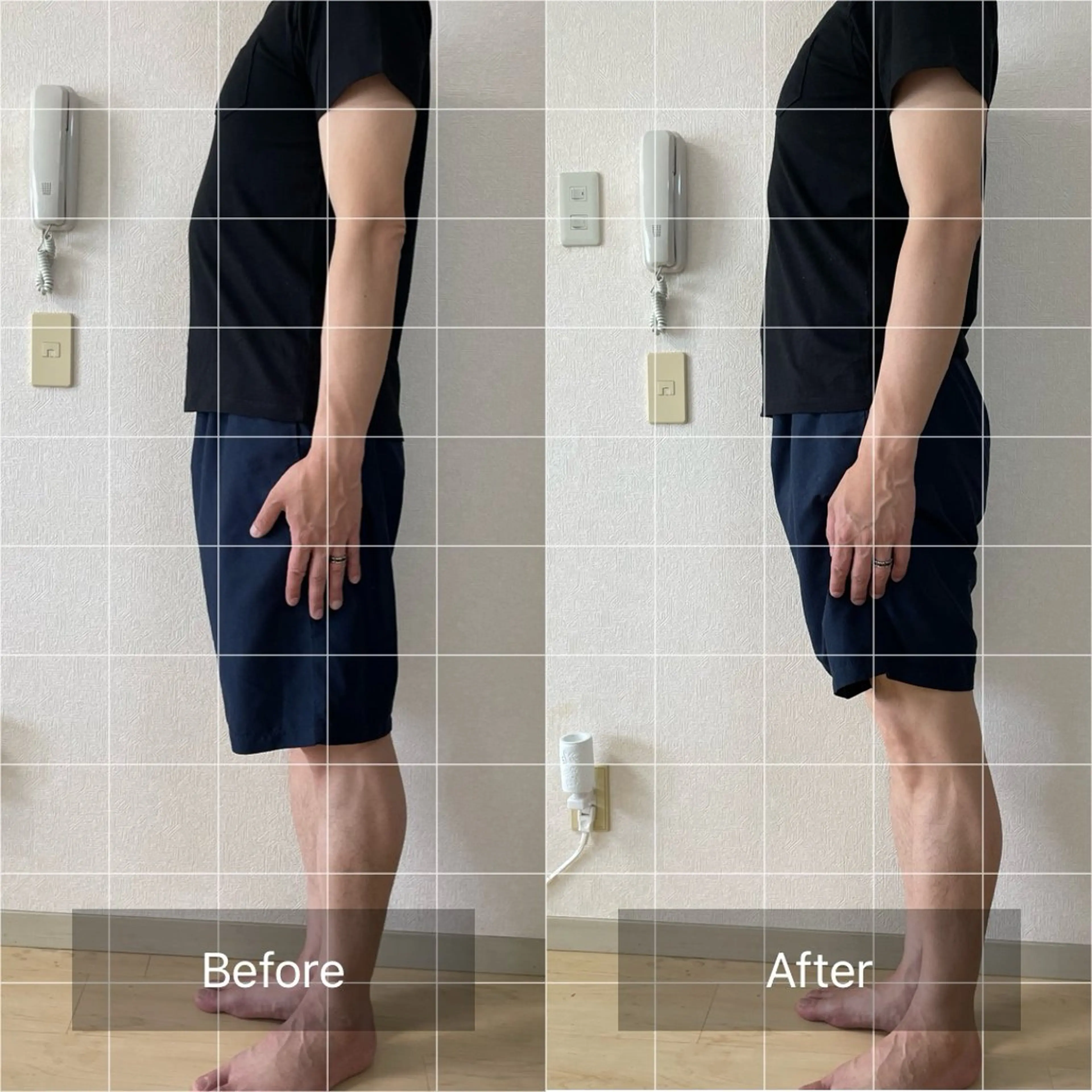 めぐらせの 森のその他イメージ