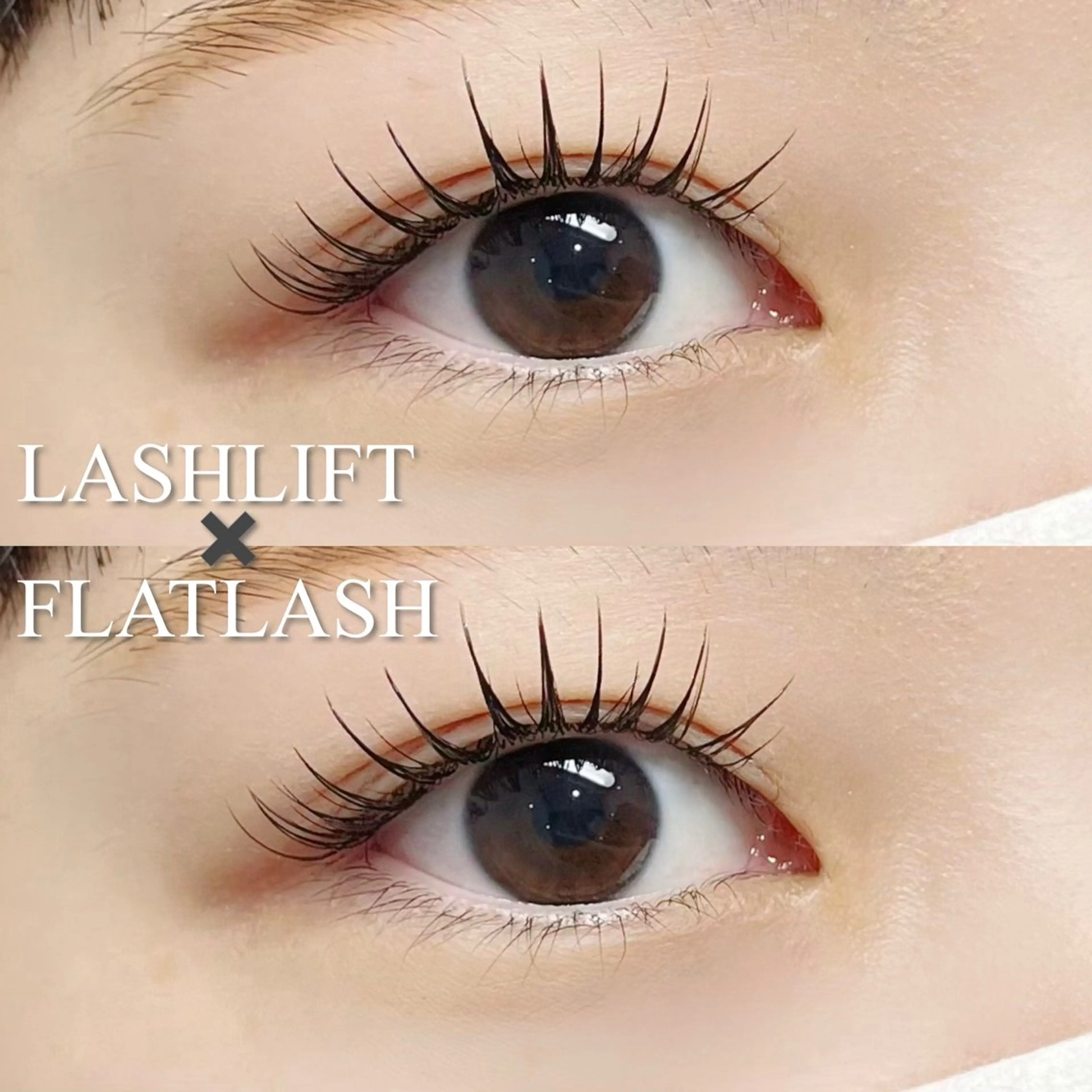 マツエク・マツパ マツエク signpost 🕊️小林のマツエク・マツパデザイン