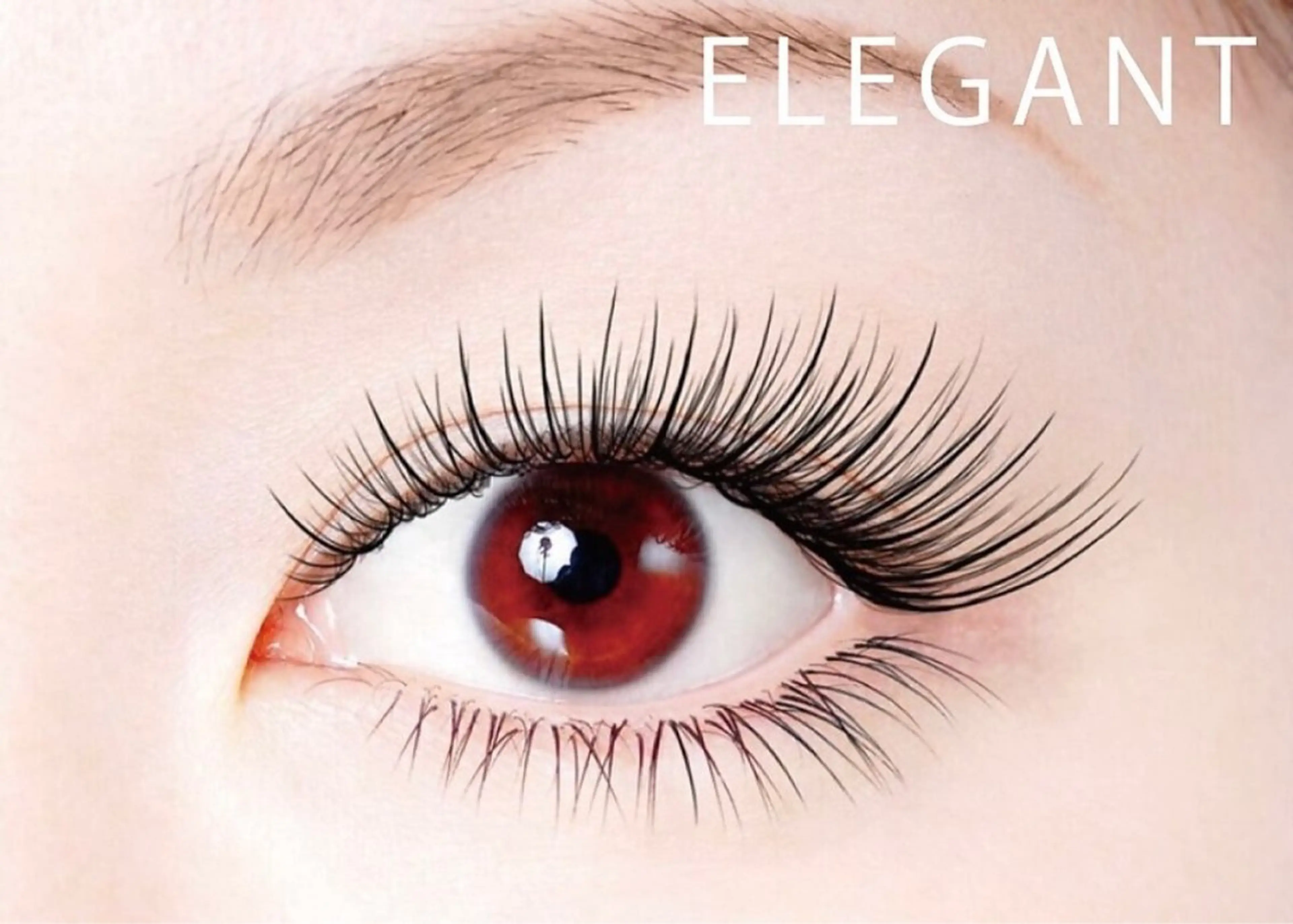 マツエク・マツパ エクラート shizukaのマツエク・マツパデザイン