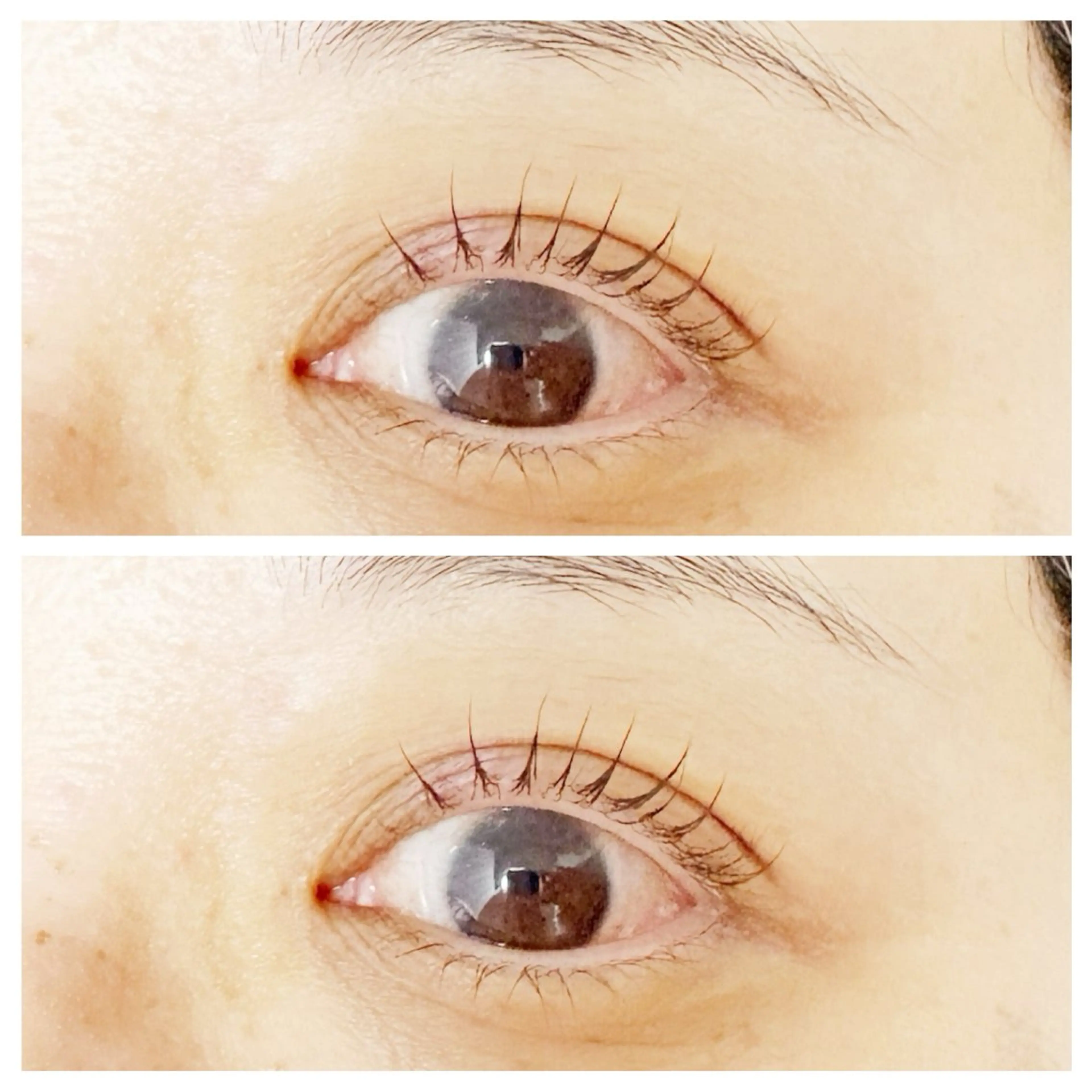 マツエク・マツパ plume eyelashのマツエク・マツパデザイン