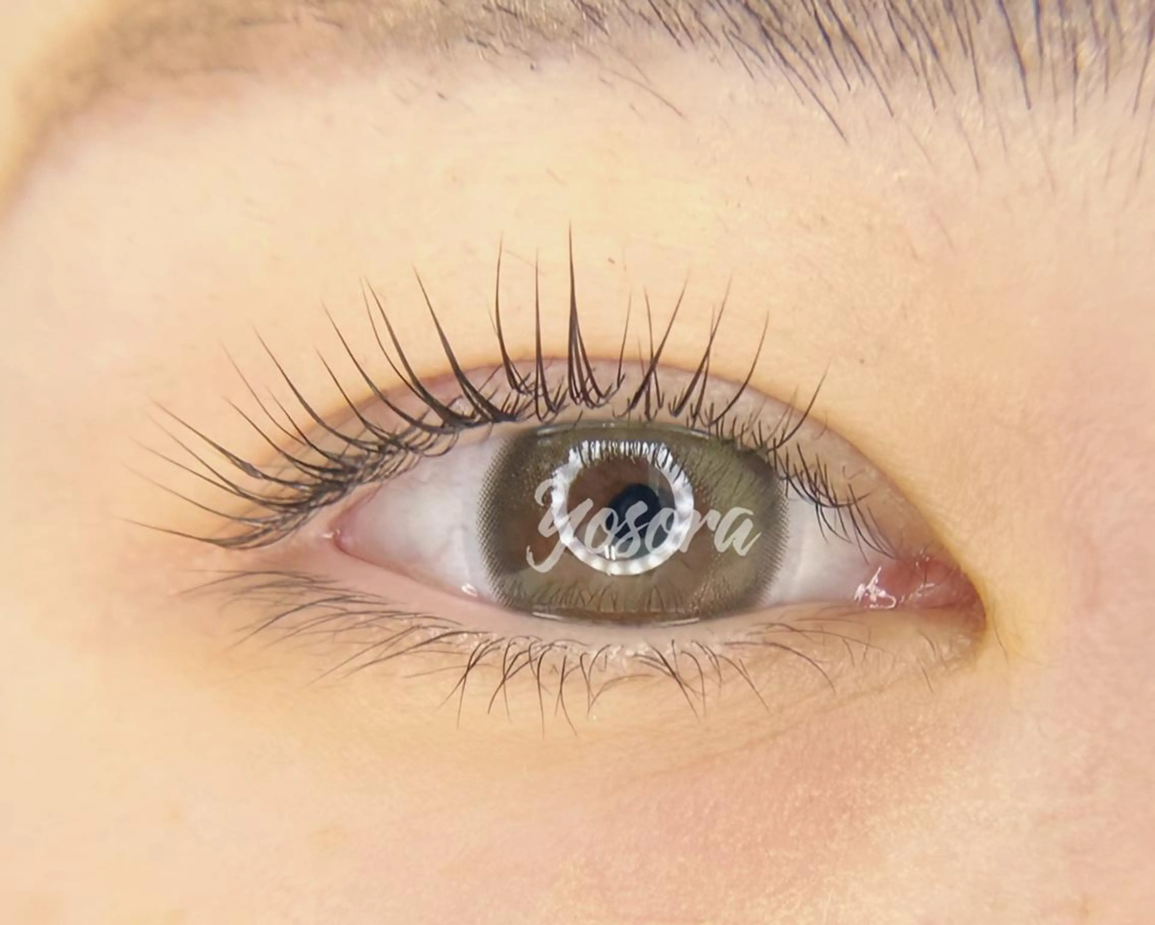 マツエク・マツパ Lカール 一重×まつ毛パーマ マツパ 浅草橋 Yosoraのマツエク・マツパデザイン