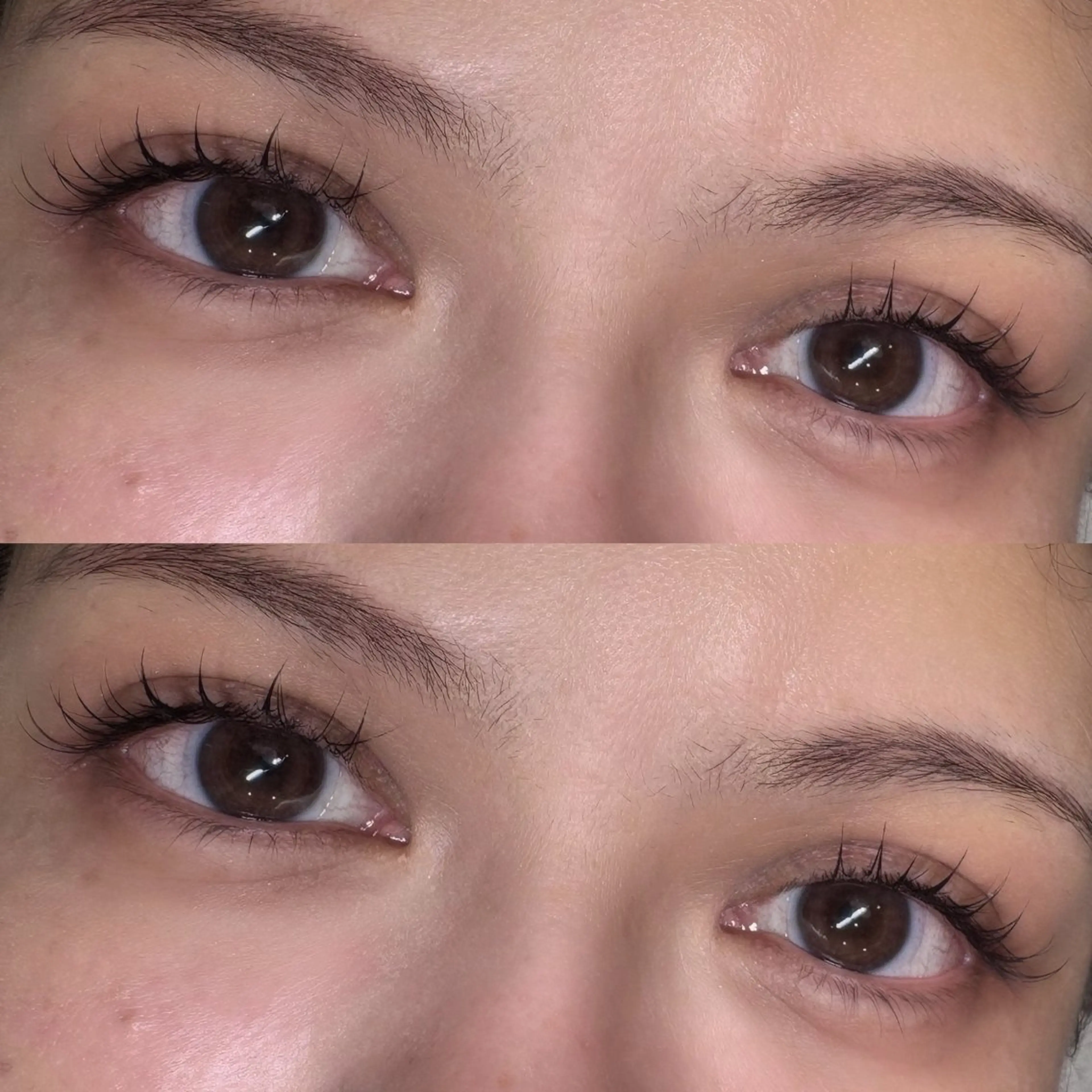 【全員】マツエク40分付け放題￥3,300🖤の写真