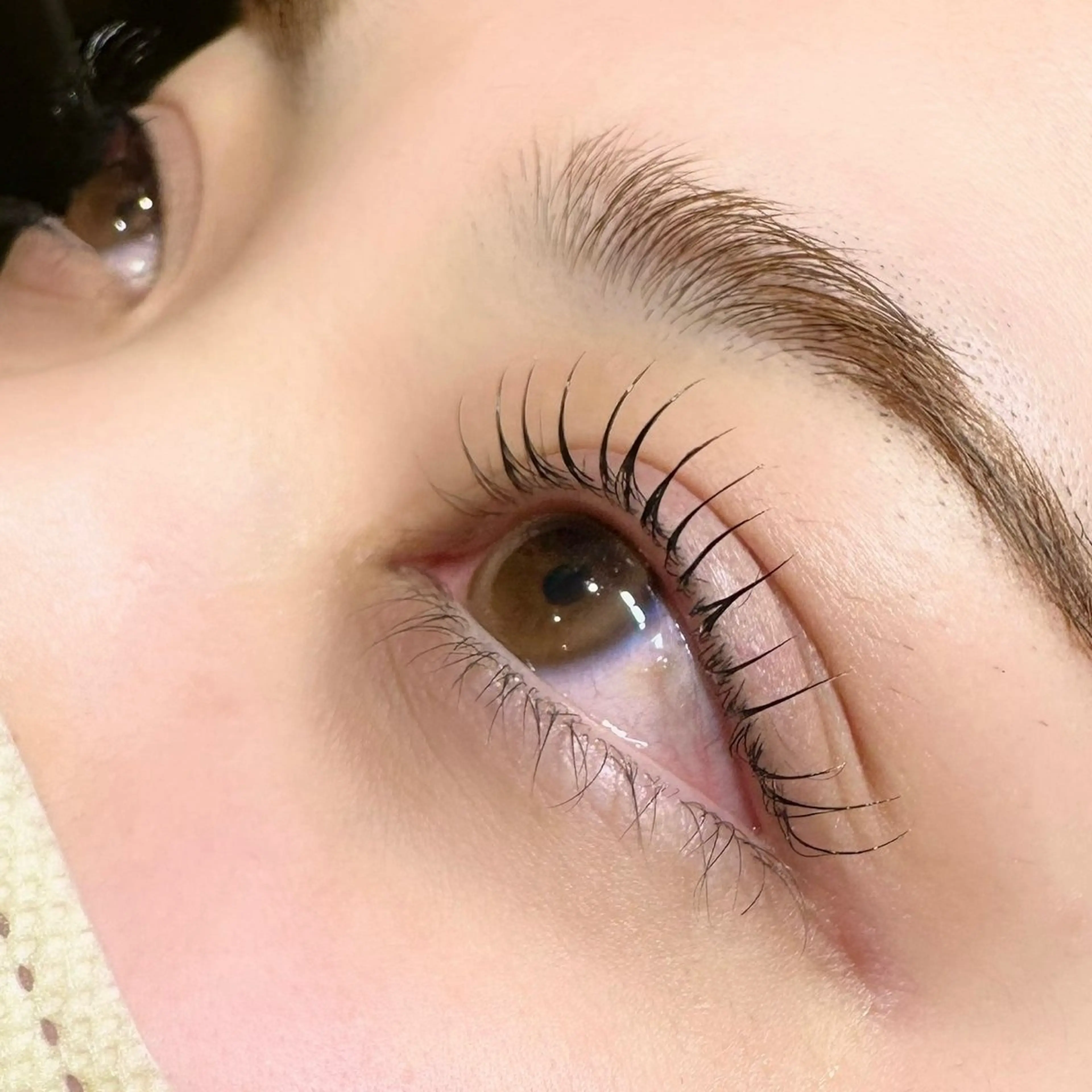 𝖯𝖺𝗋𝗂𝗌𝗂𝖾𝗇𝗇𝖾 / 𝖾𝗒𝖾𝗅𝖺𝗌𝗁 𝗉𝖾𝗋𝗆（上）の写真