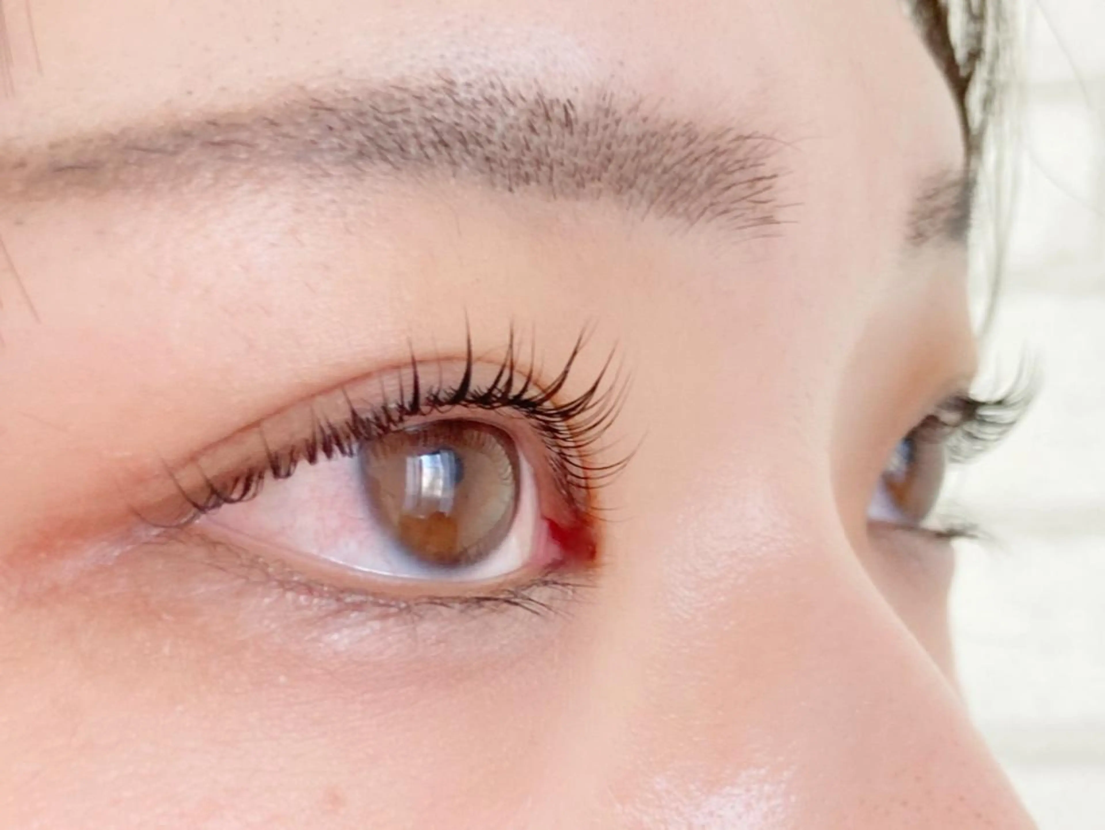 マツエク・マツパ マツパ トレヴァーデルチザン inuiのマツエク・マツパデザイン