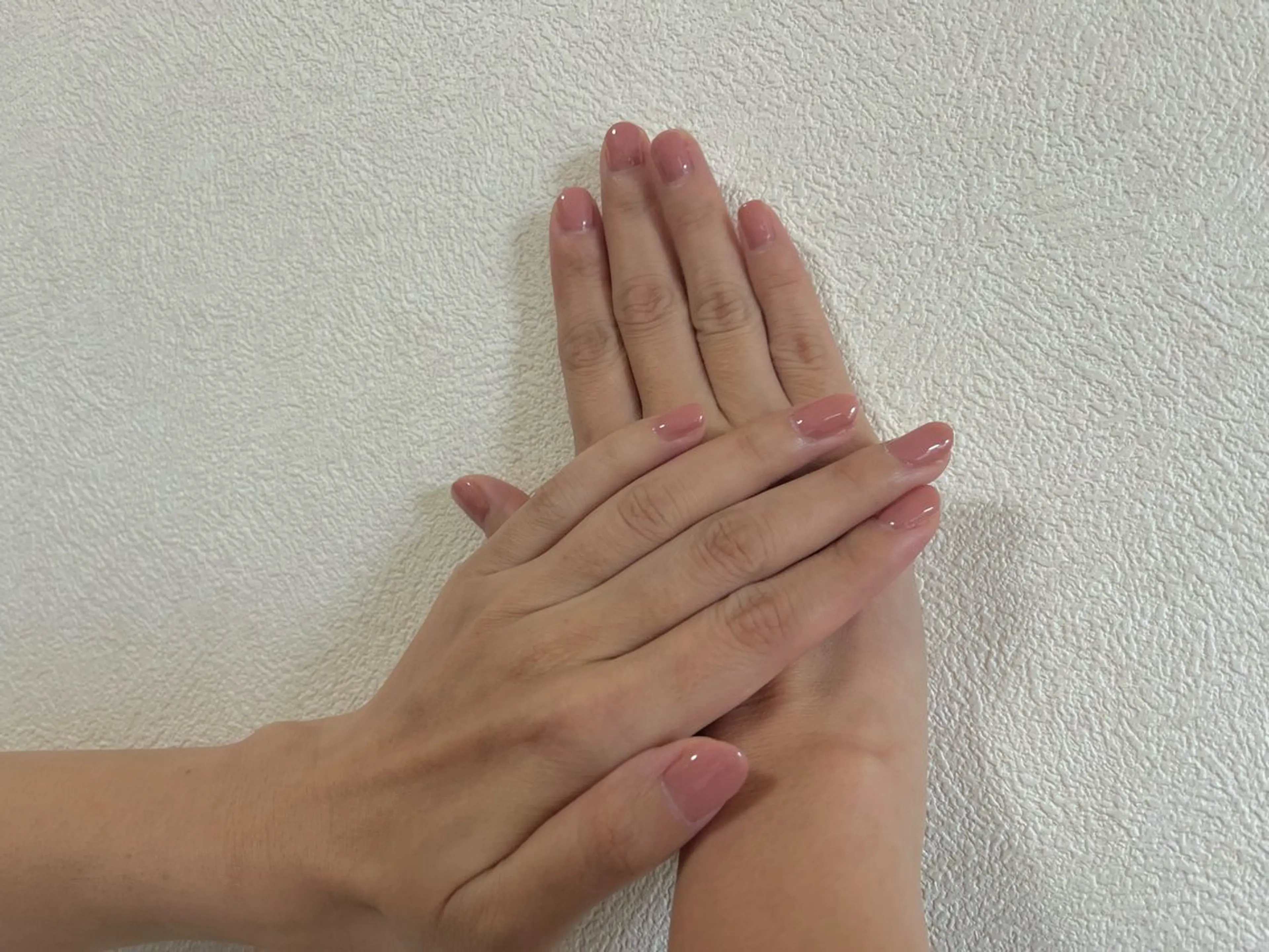 ワンカラー (オフなし)の写真