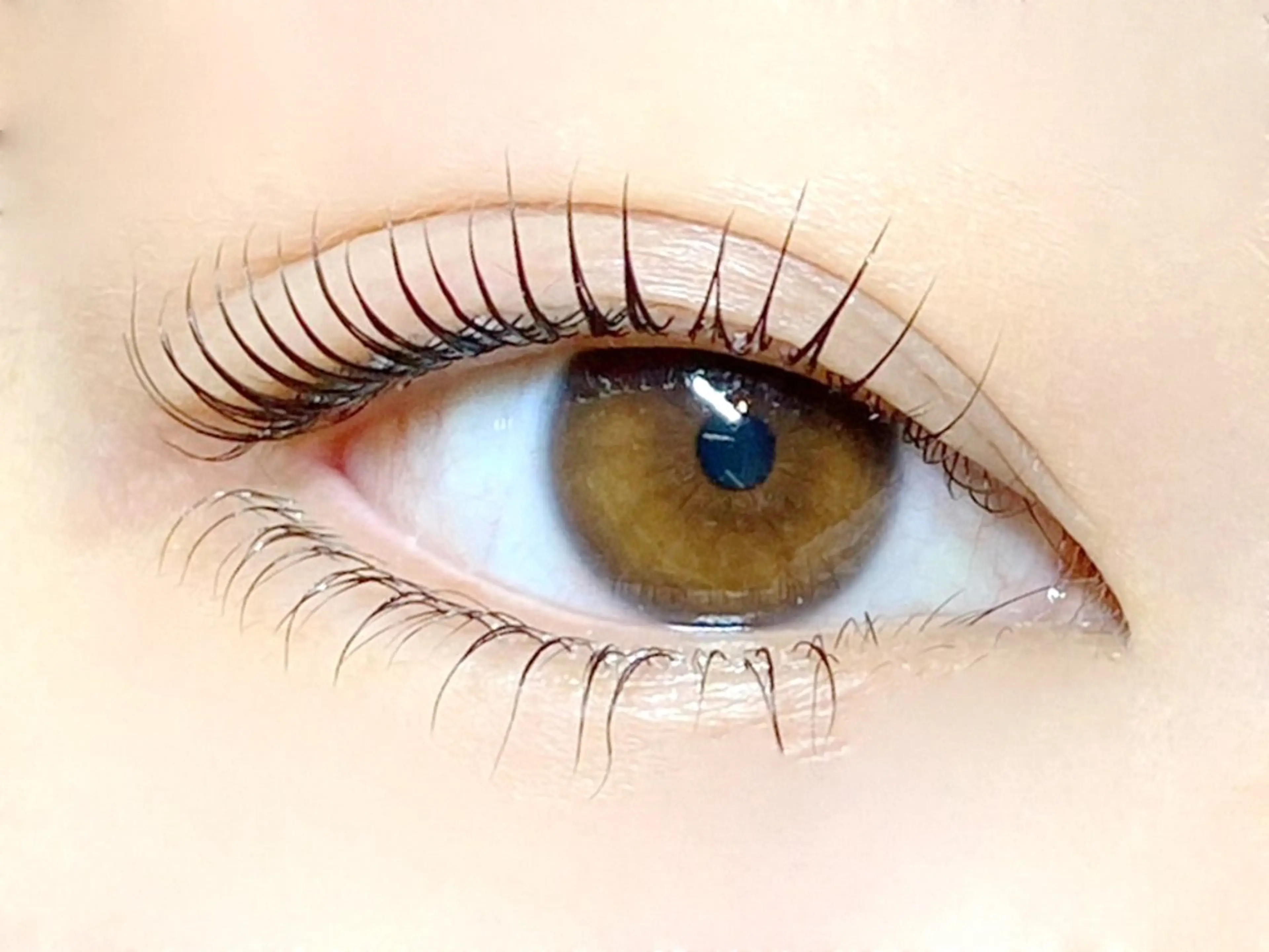 マツエク・マツパ サクラブロウ 天神店の眉毛・アイブロウイメージ