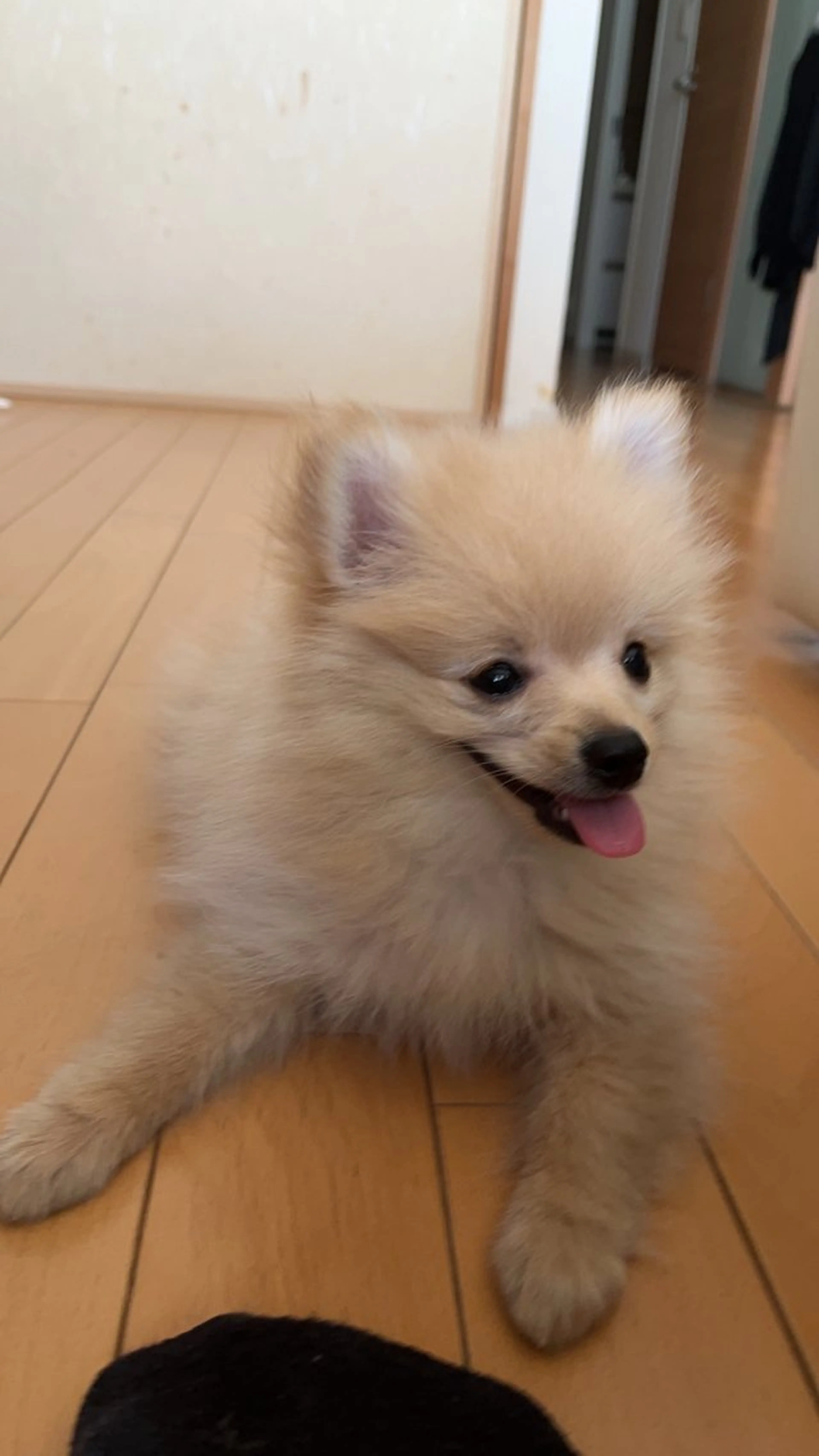 Sona hair & eyelash salon所属・紙屋 隼人のヘアスタイル