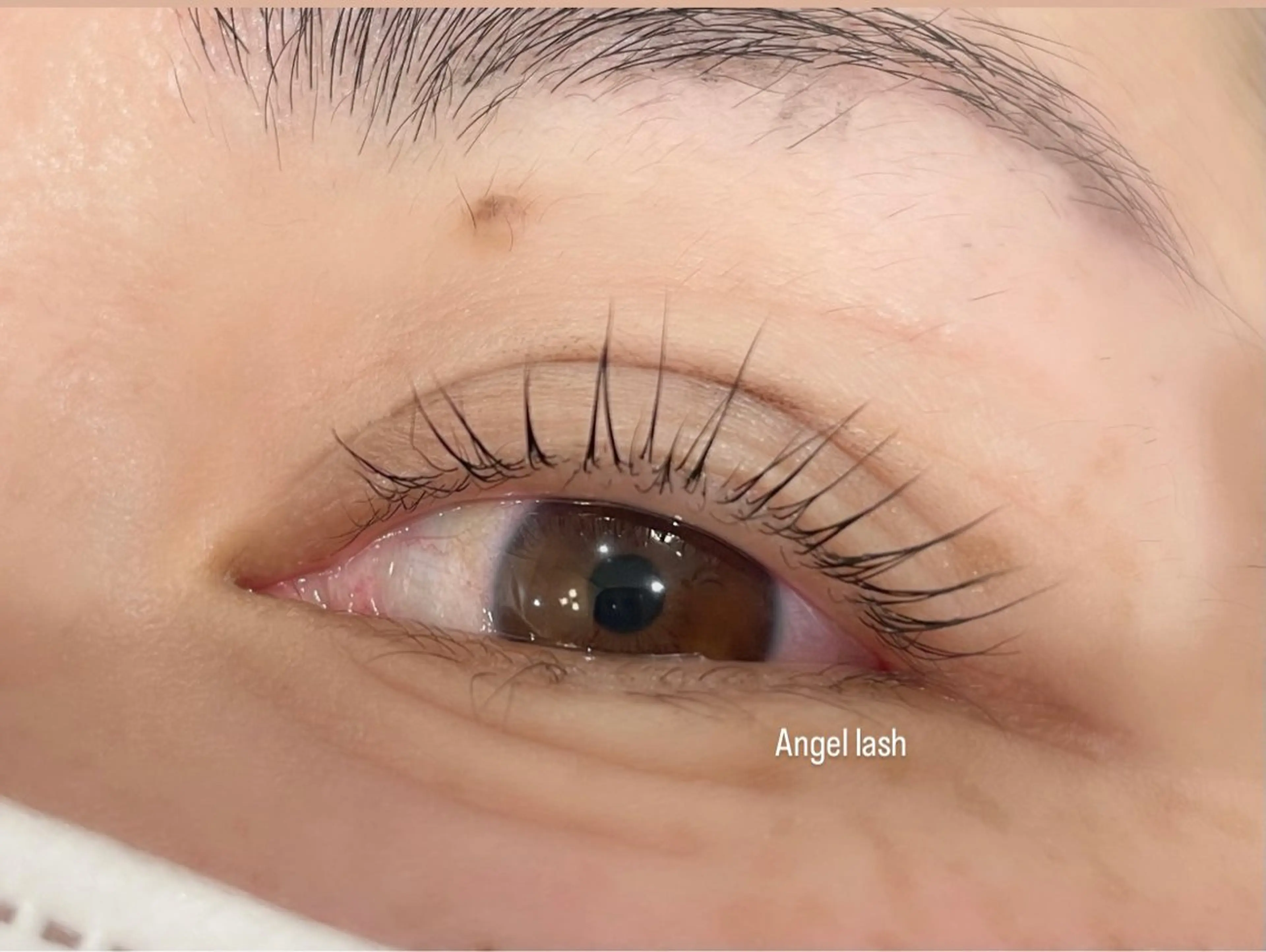 マツエク・マツパ Angel lash kanekoのマツエク・マツパデザイン