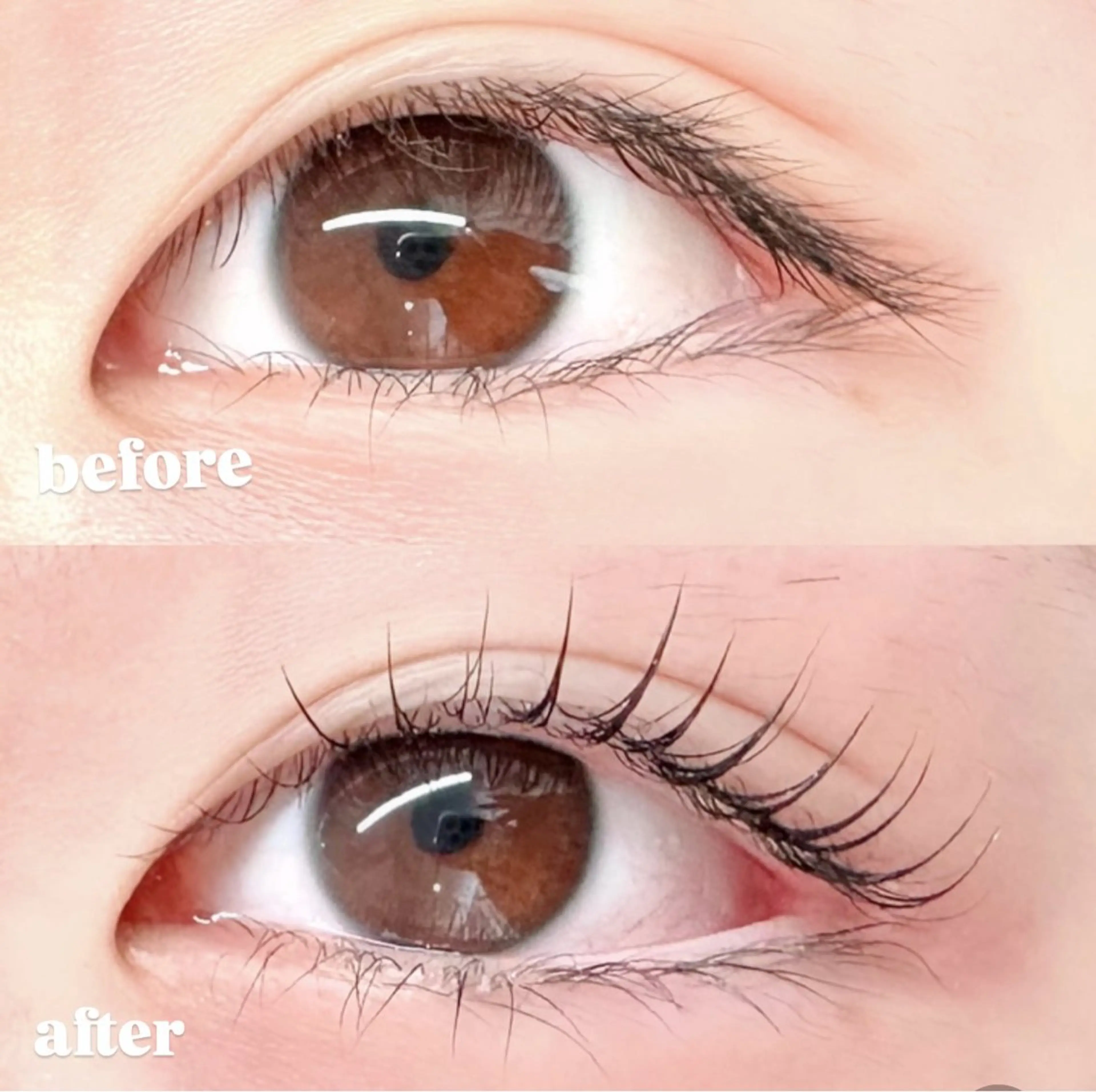 マツエク・マツパ パリジェンヌラッシュリフト 一重×まつ毛パーマ momoka 💕のマツエク・マツパデザイン