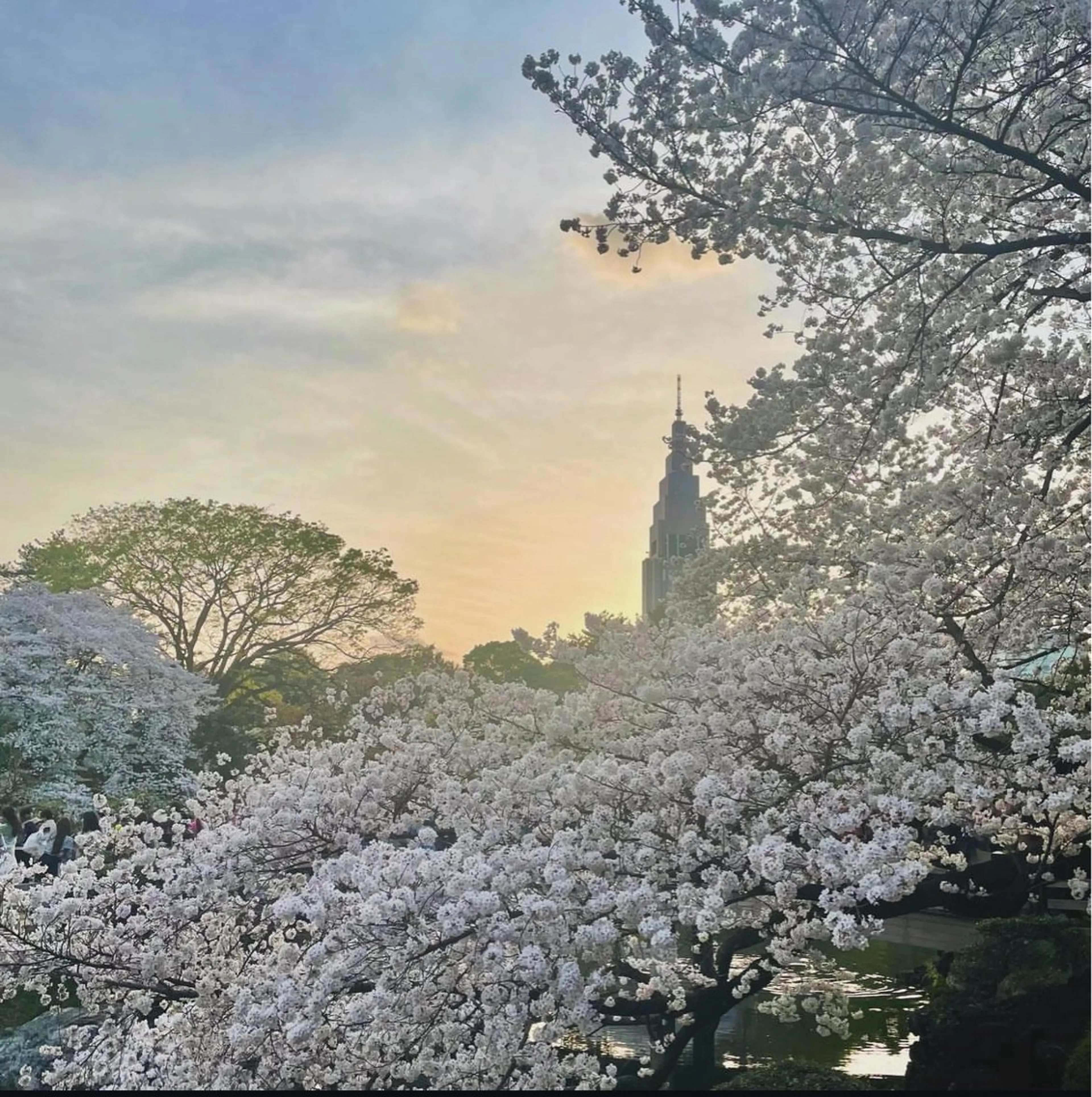 セミロング カラー パーマ ヘアアレンジ キッズ GOTODAY SHAiRE SALON (原宿本店)所属・stylist 🎀 kanaのその他イメージ