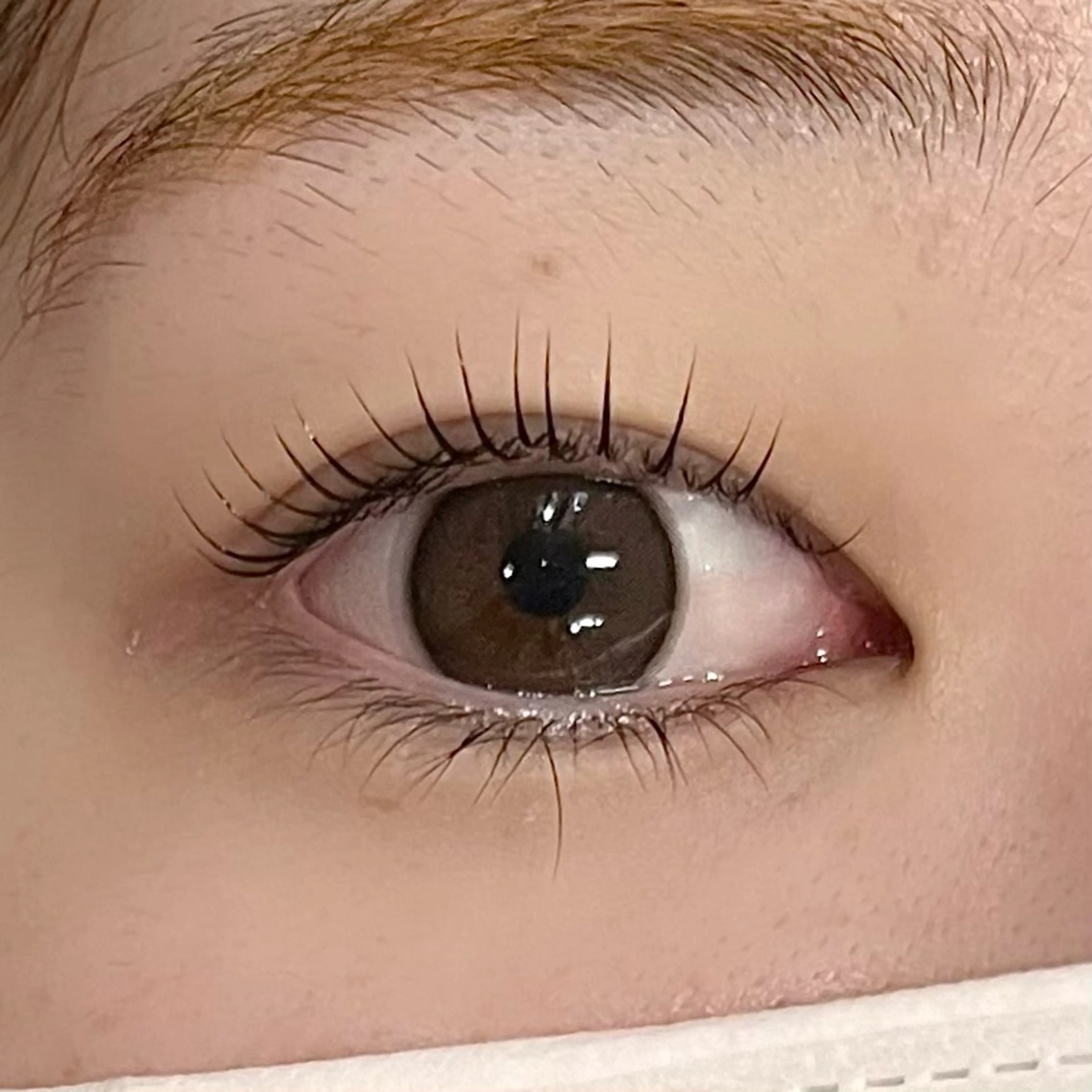 マツエク・マツパ まつげパーマ MAQUIA行橋店 大島のマツエク・マツパデザイン