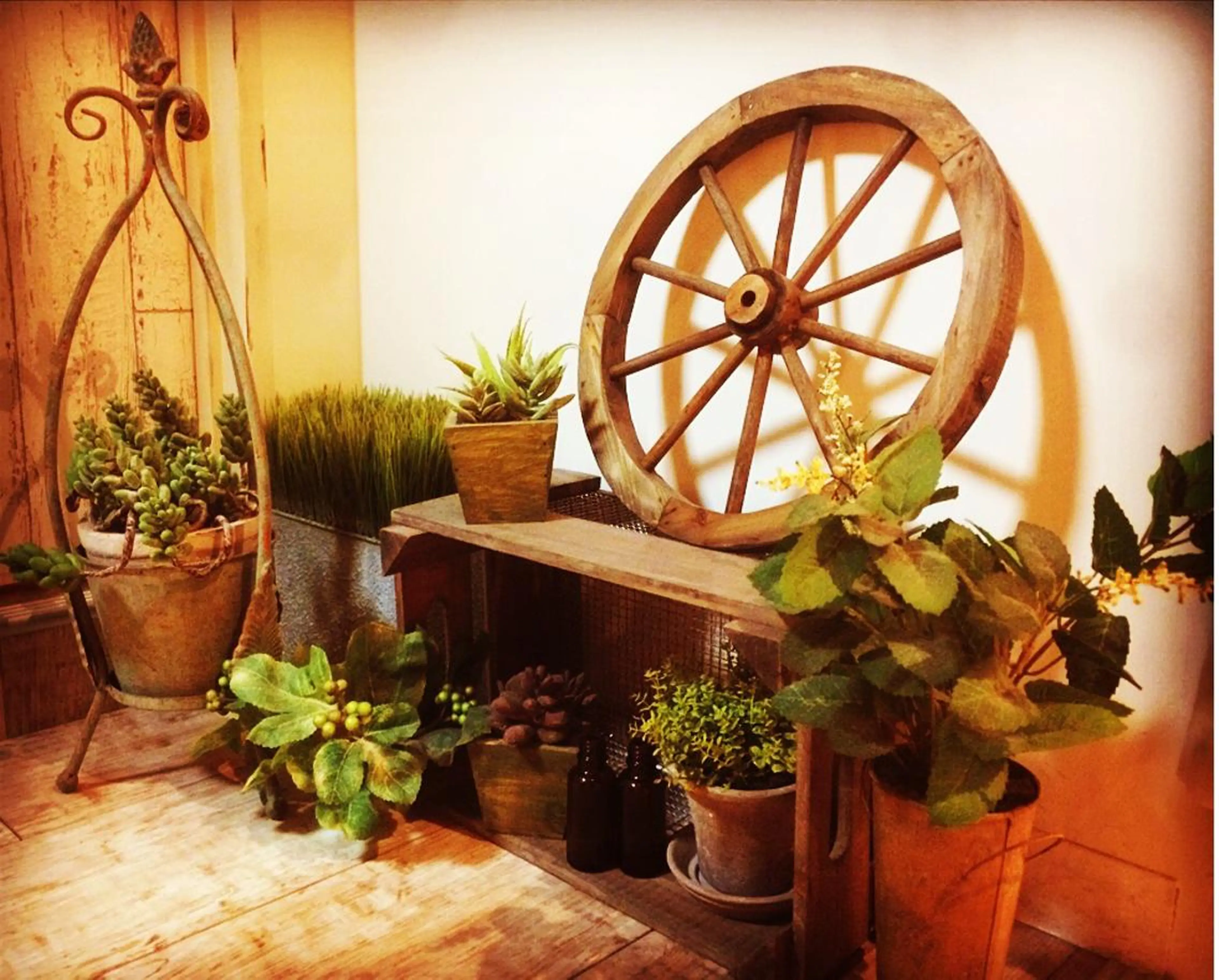 :::  gally :::のヘアスタイル