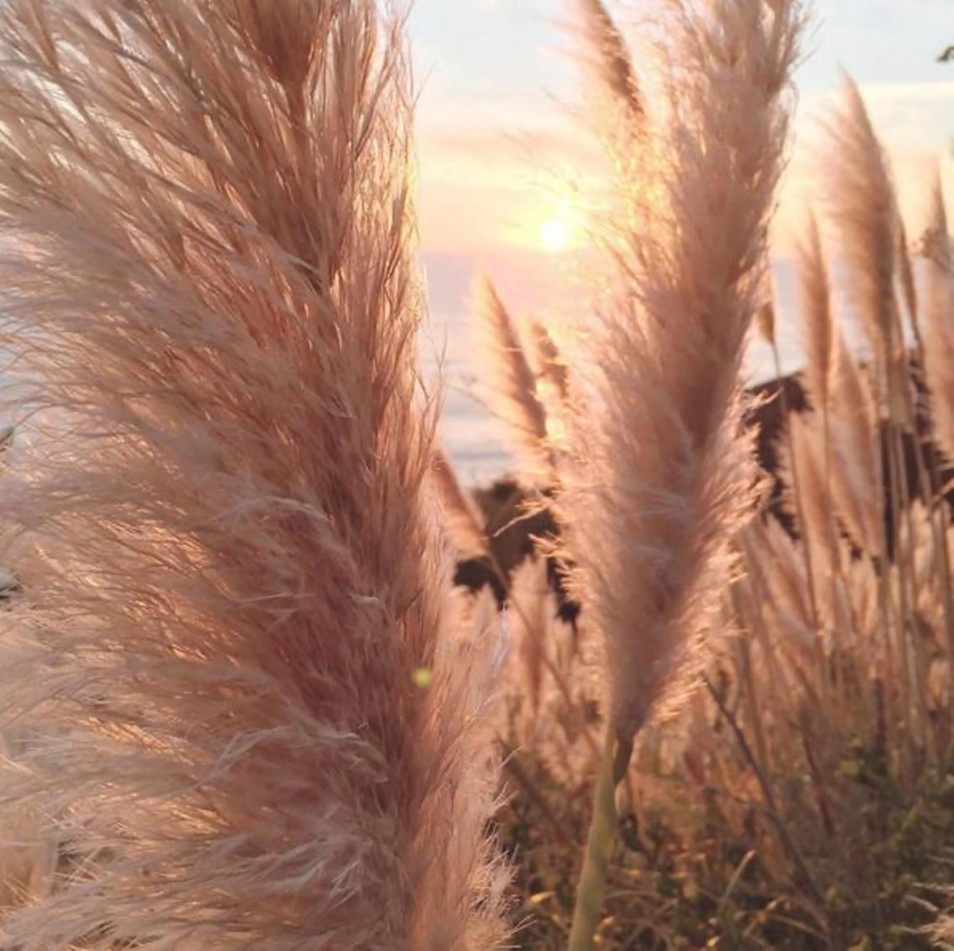 セミロング カラー 髪質改善🫧ベージュ 椙山 響のヘアスタイル