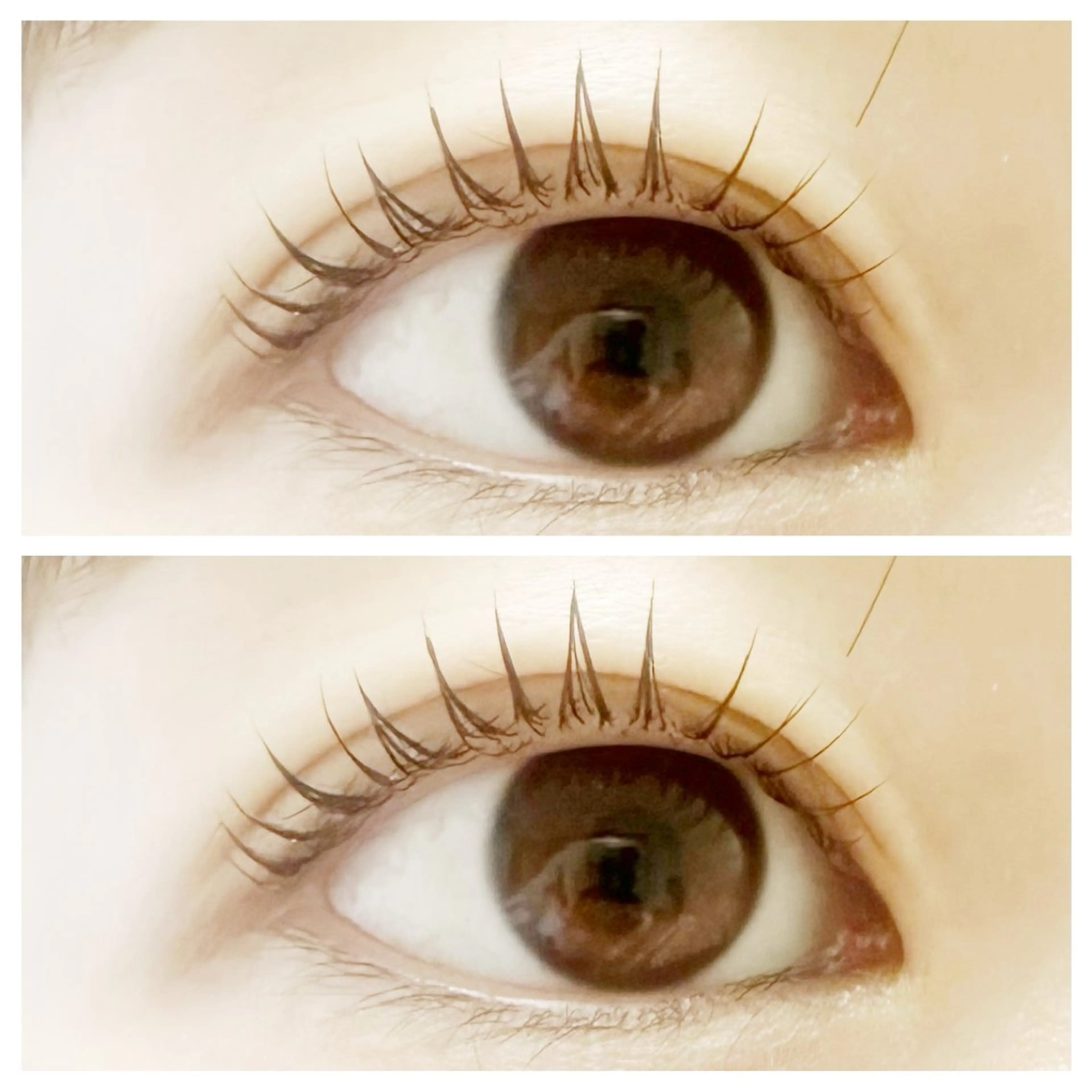 マツエク・マツパ マツパ plume eyelashのマツエク・マツパデザイン