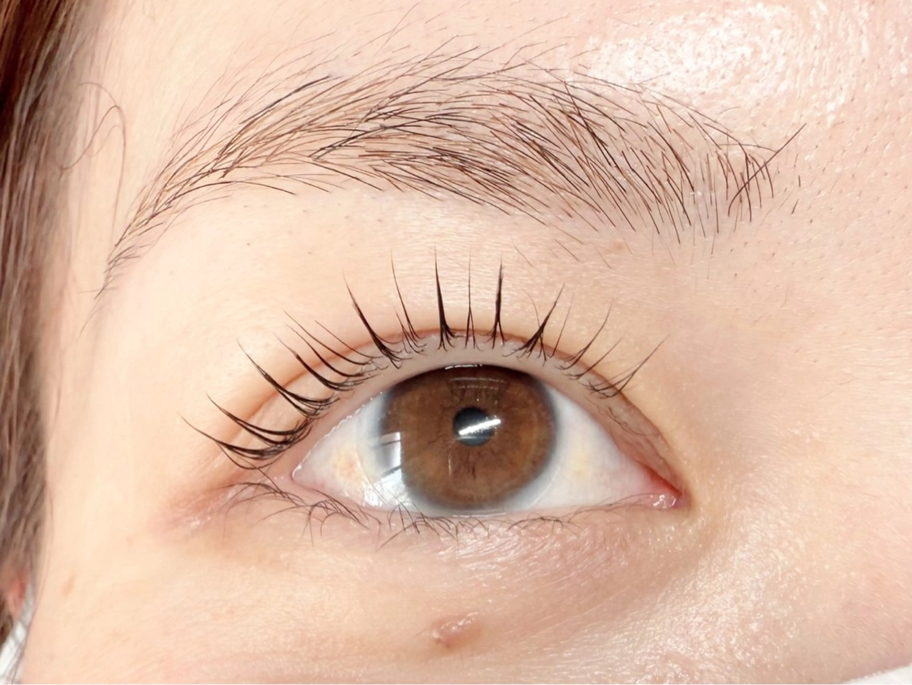 パリジェンヌラッシュリフトの写真