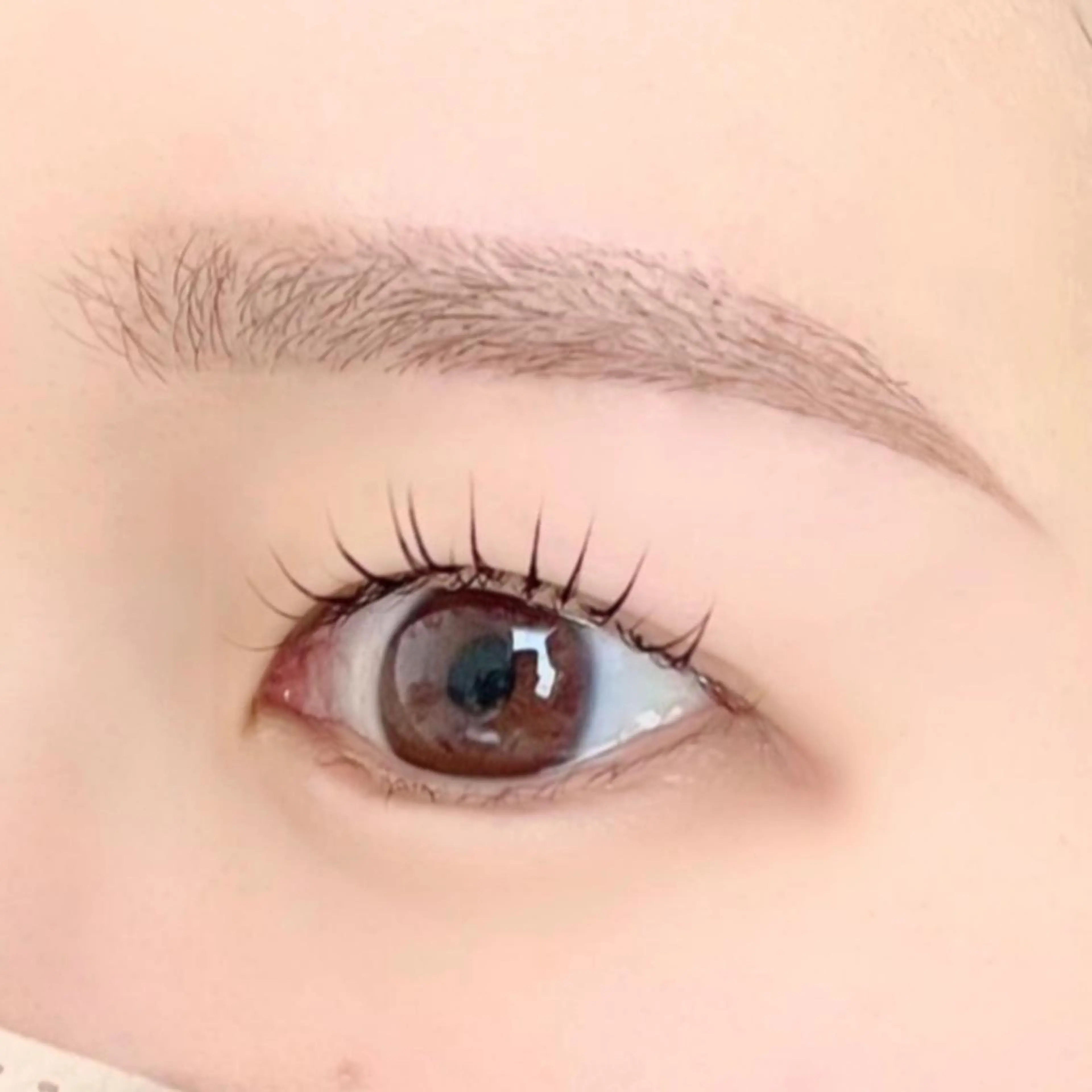 まつげパーマ《上まつ毛》＆まゆげカット🌟 パリジェンヌかスタンダードなカールを似合わせで♪まゆげカットはワックス無し＊の写真