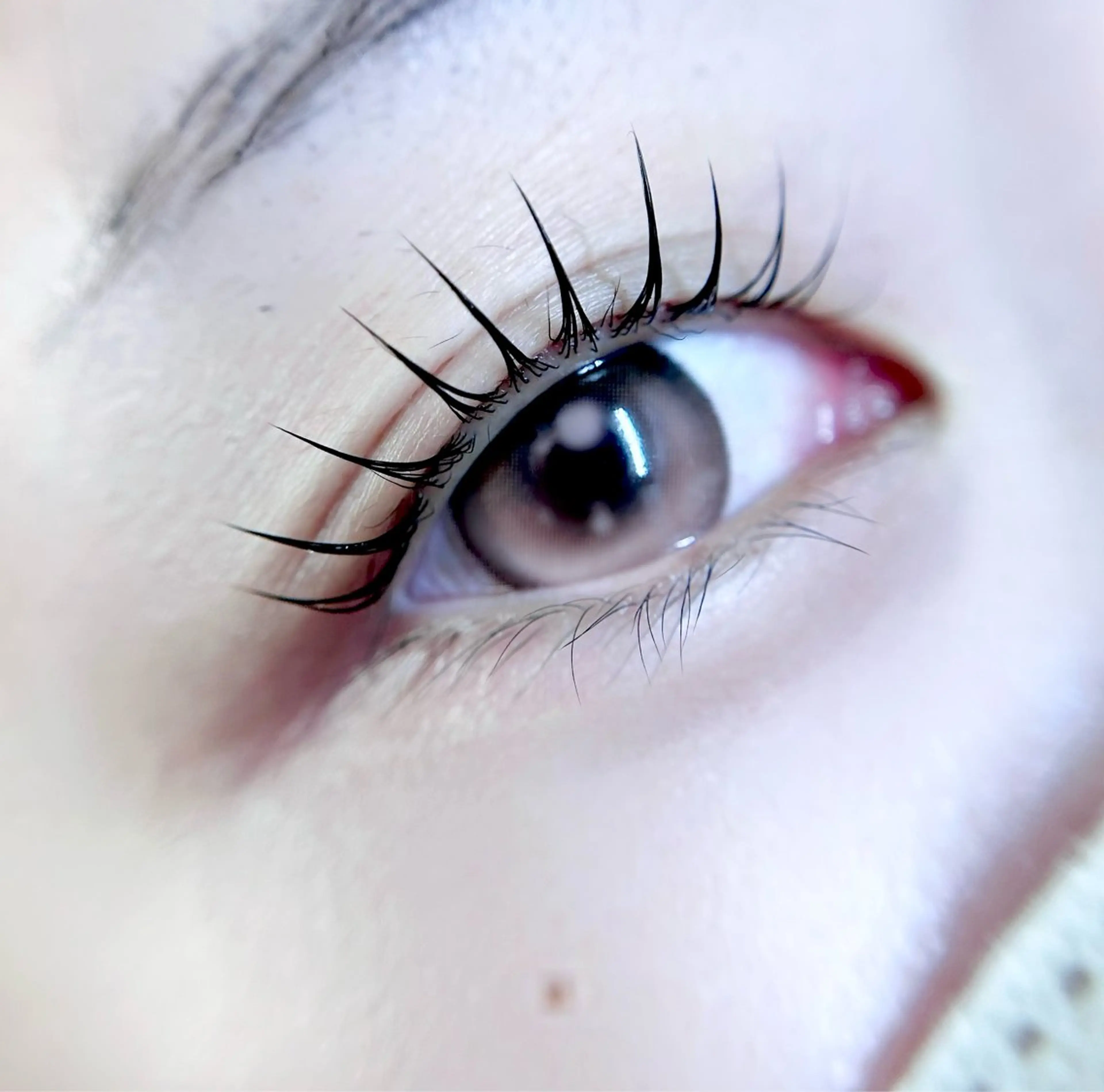 マツエク・マツパ eyelist. mizuki🐈‍⬛のマツエク・マツパデザイン