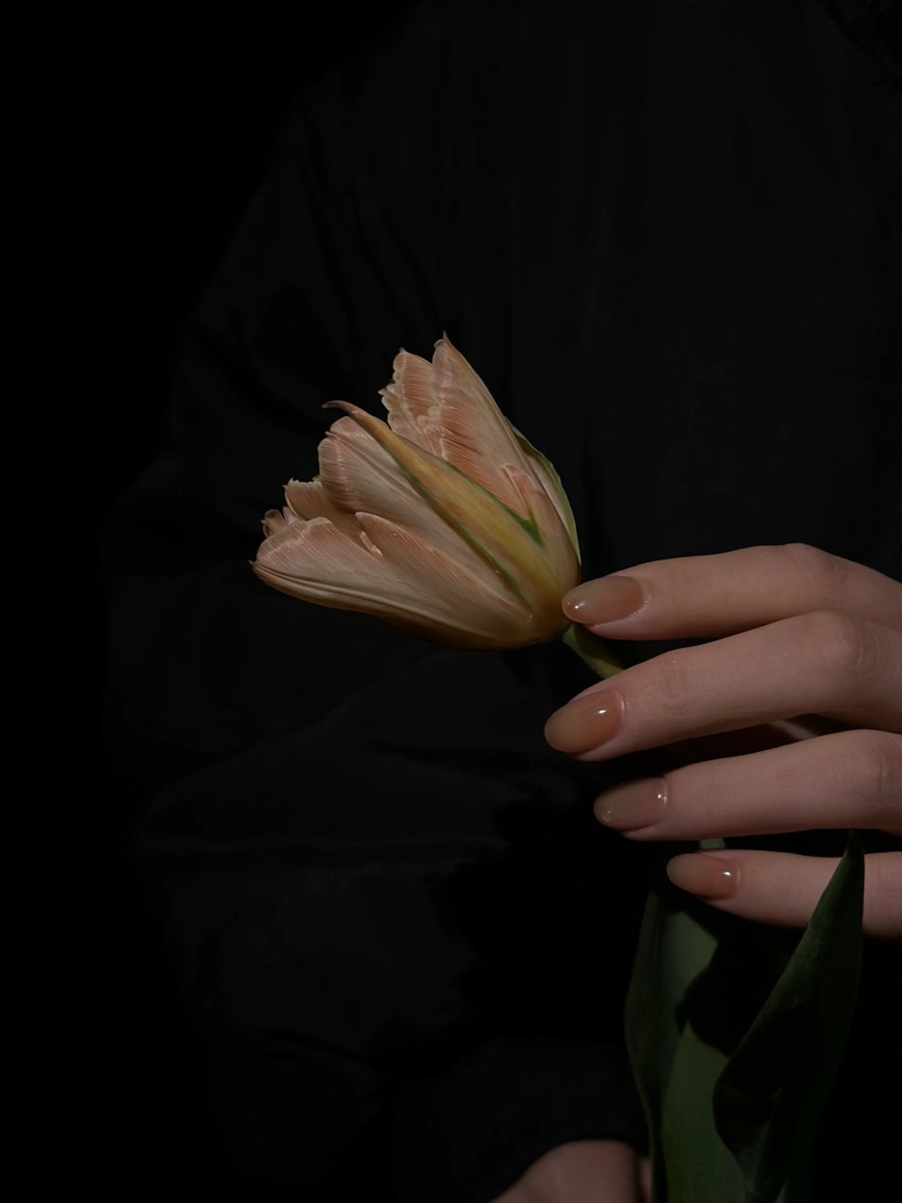 ネイル m o m o / 高岡ネイルのネイルデザイン