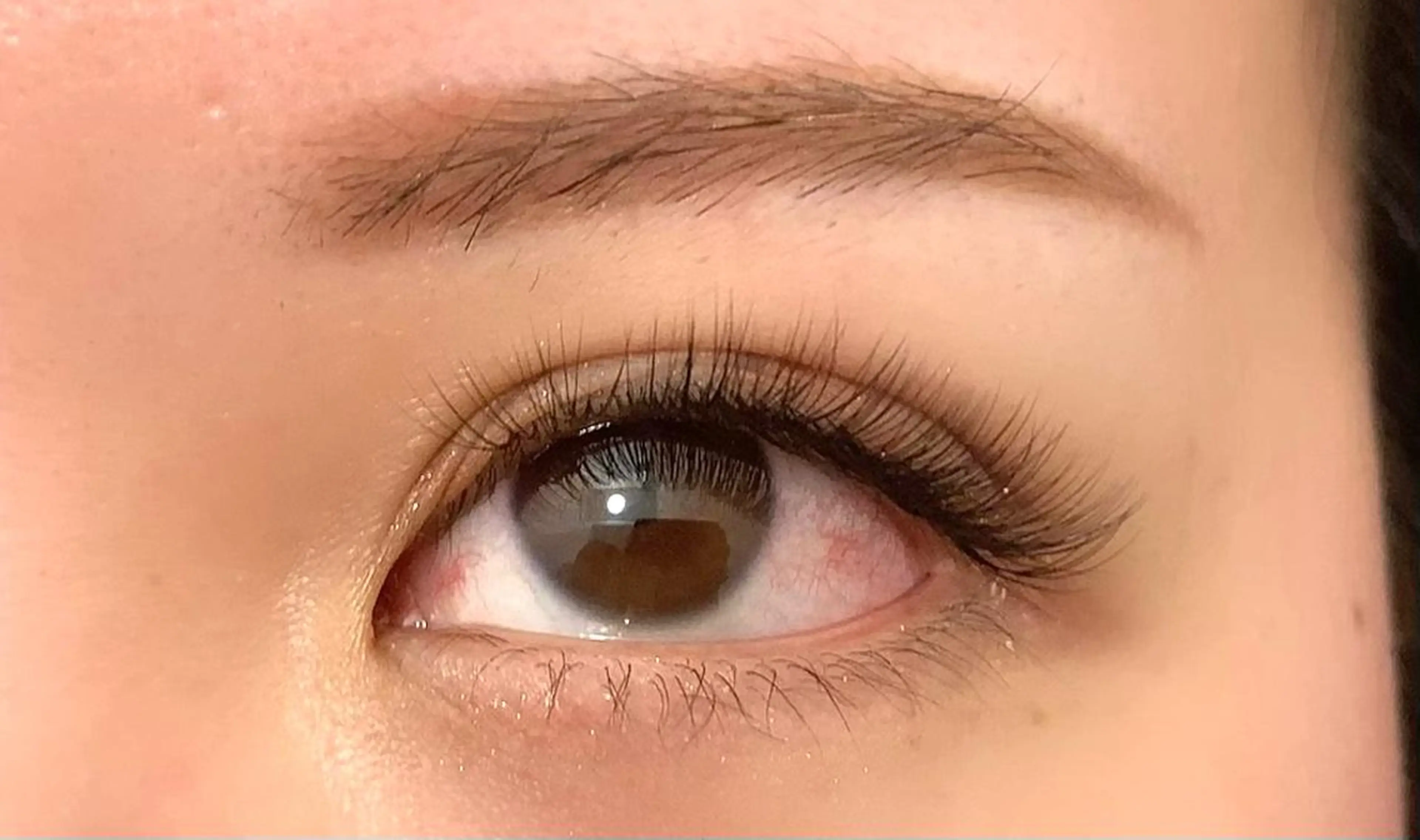 ご新規様特別価格✴︎ボリュームラッシュ《3D.4D MIX》 両目120束(約420本)の写真