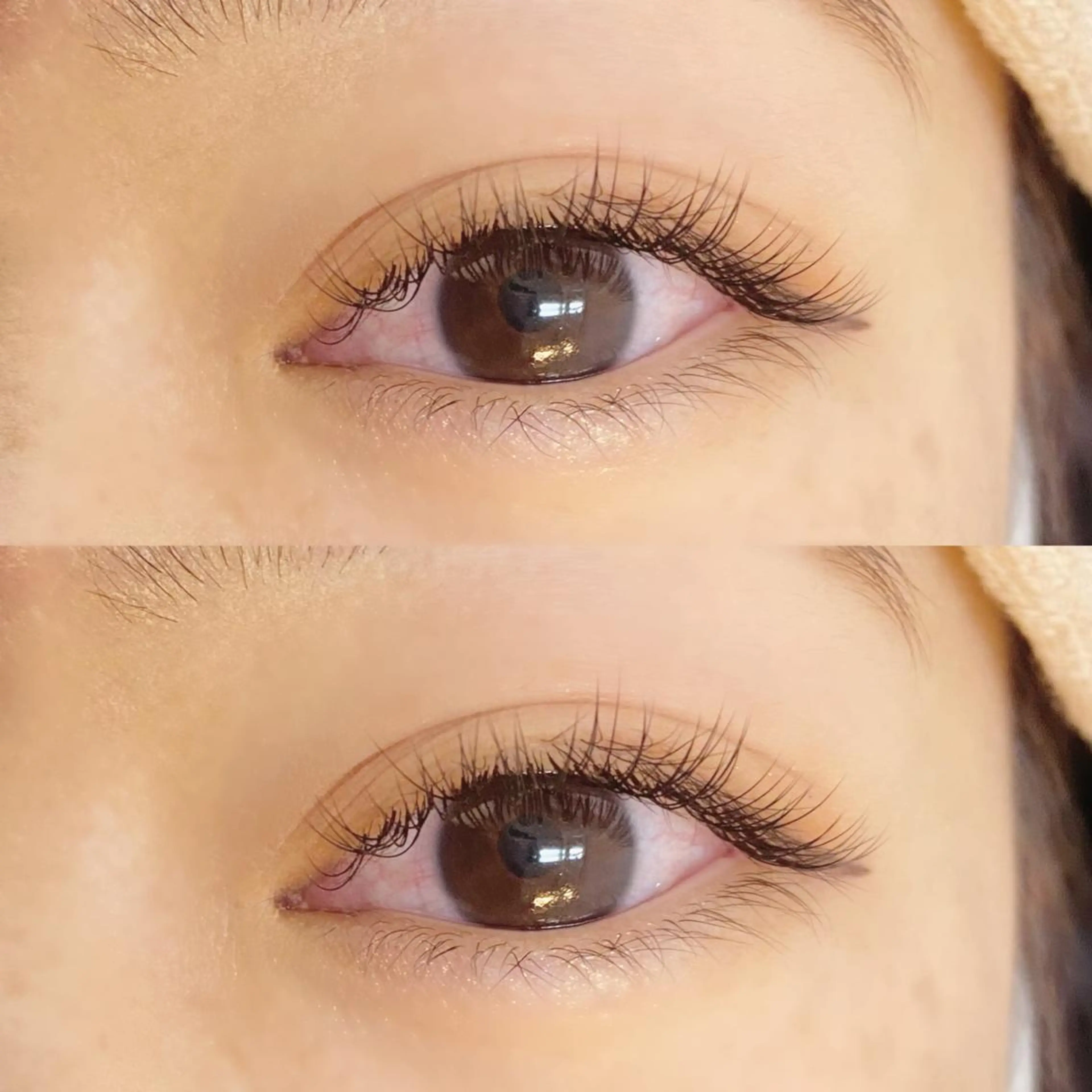 マツエク・マツパ セーブル signpost 🕊️小林のマツエク・マツパデザイン