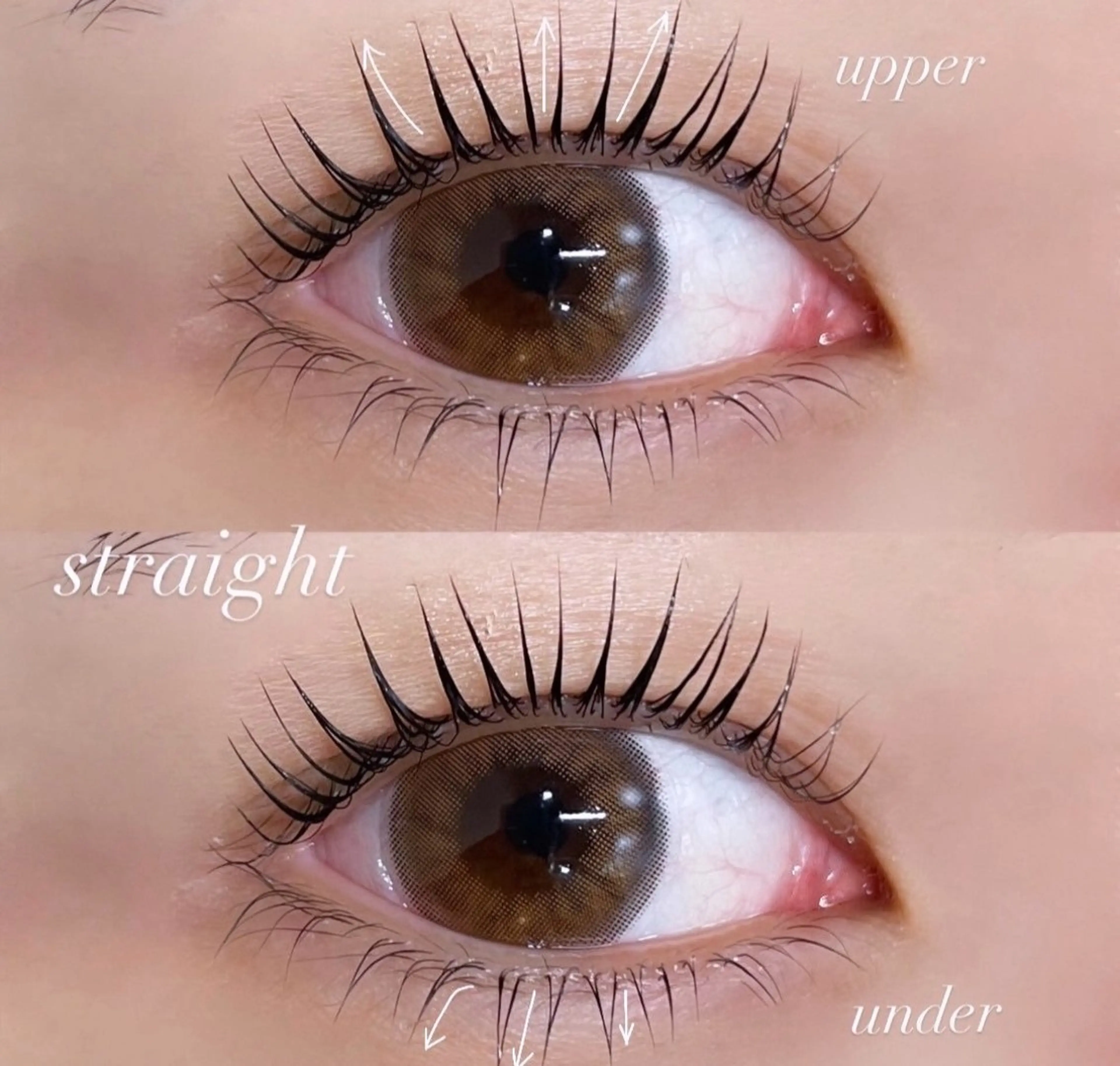 選択不可の写真