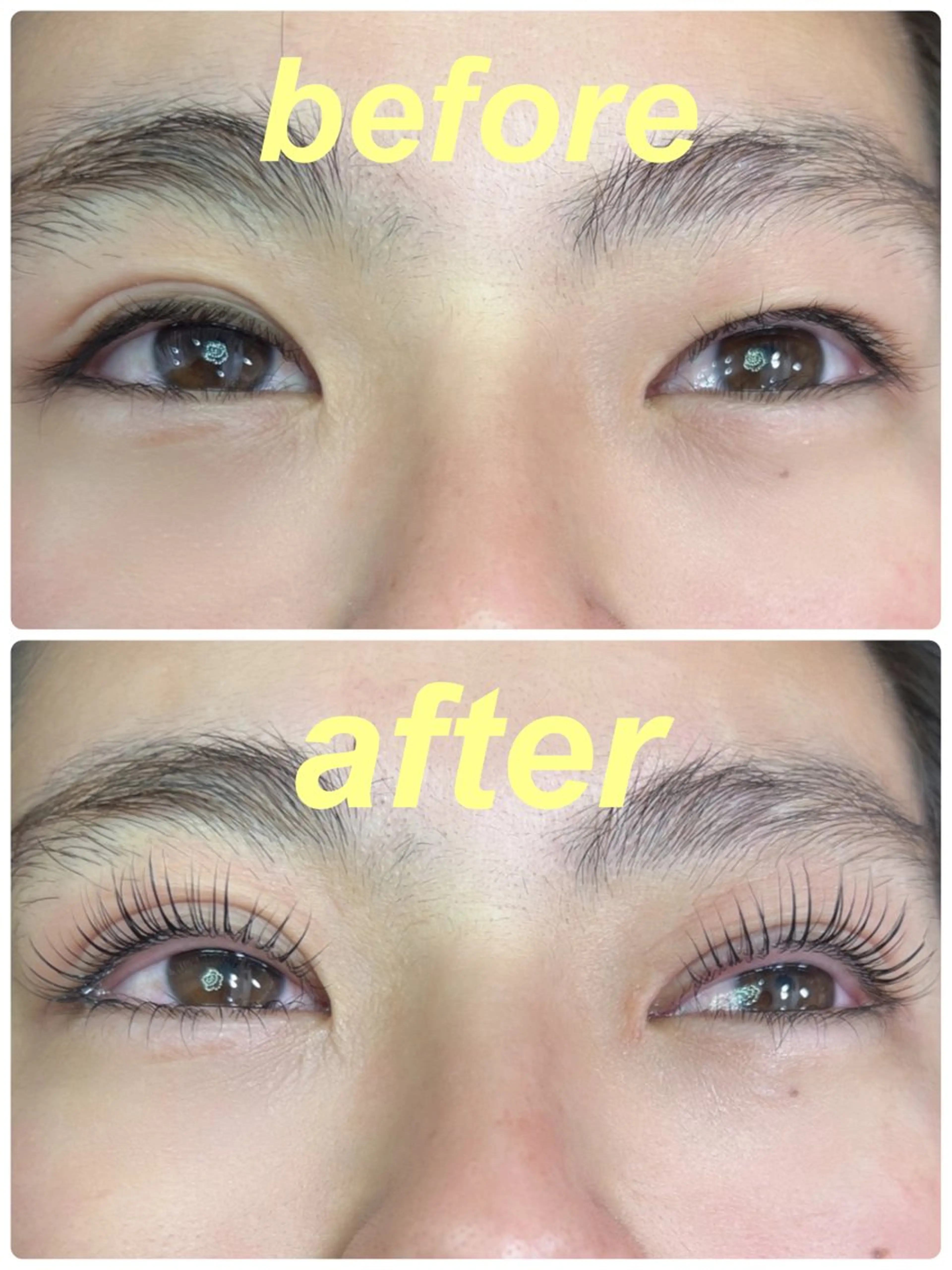 上下ラッシュリフト👁の写真