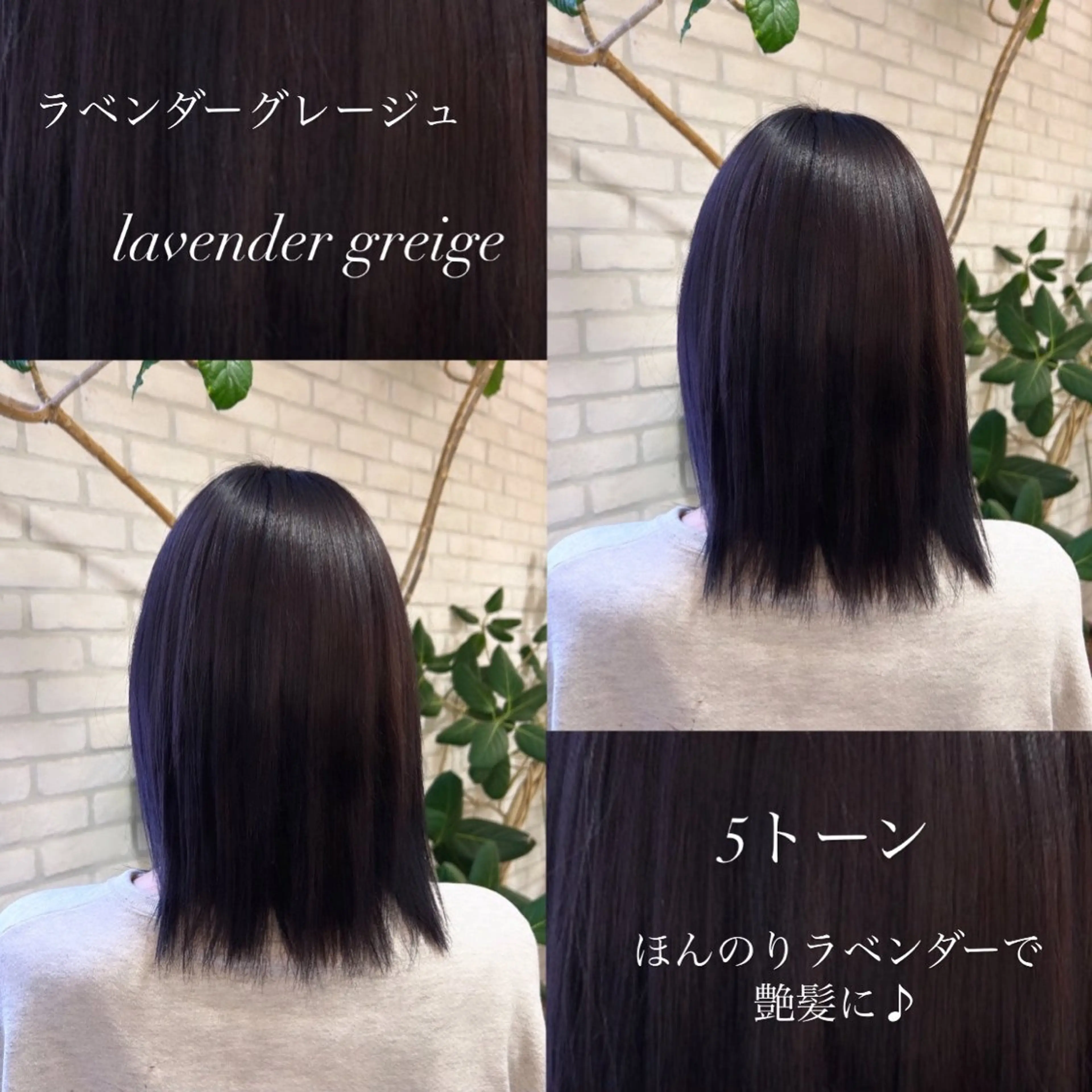 ミディアム カラー 韓国ヘア🧸髪質改善 🧸きくちみさきのヘアスタイル