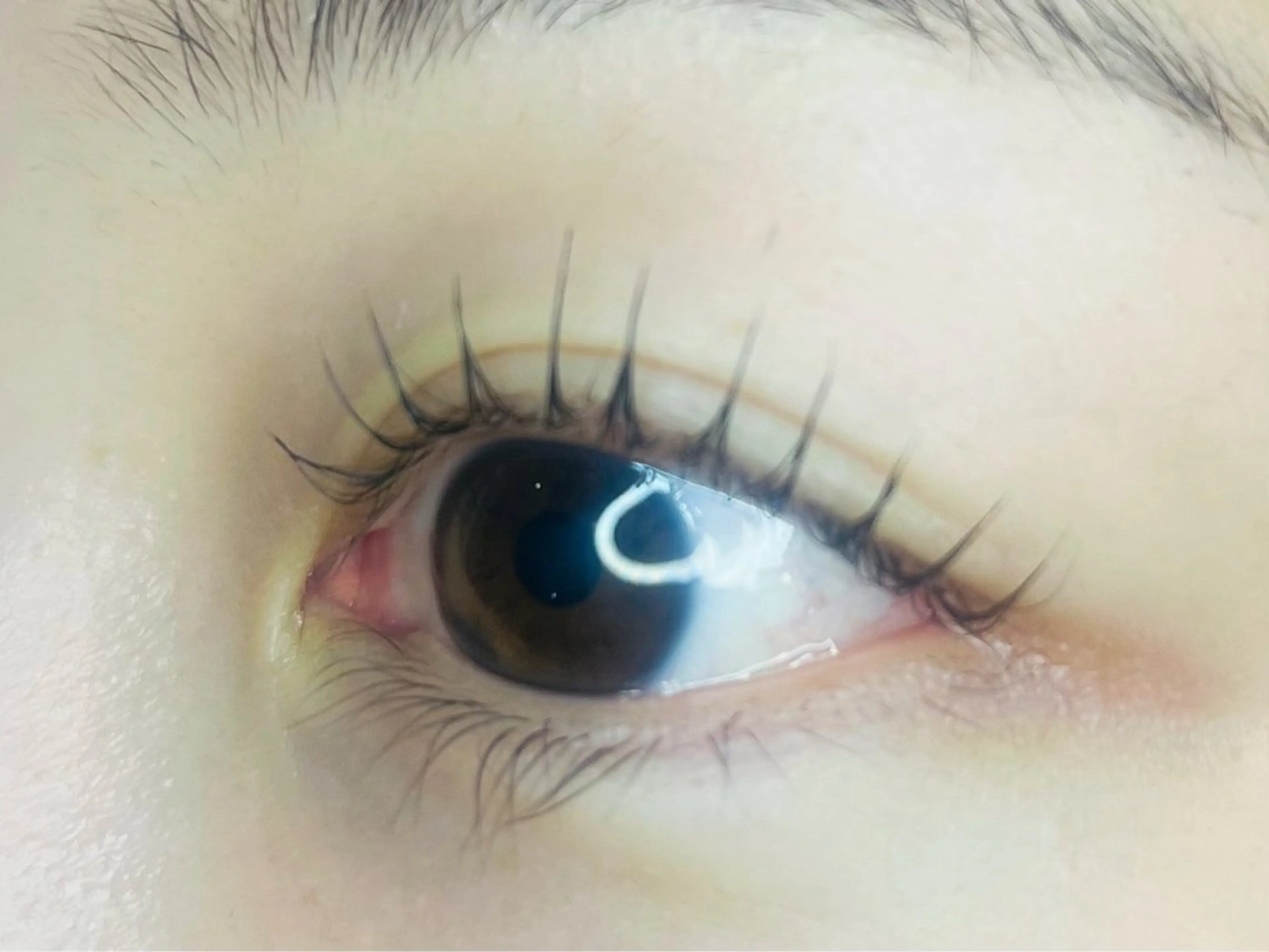 マツエク・マツパ まつげパーマ キャナリーロー アイのマツエク・マツパデザイン