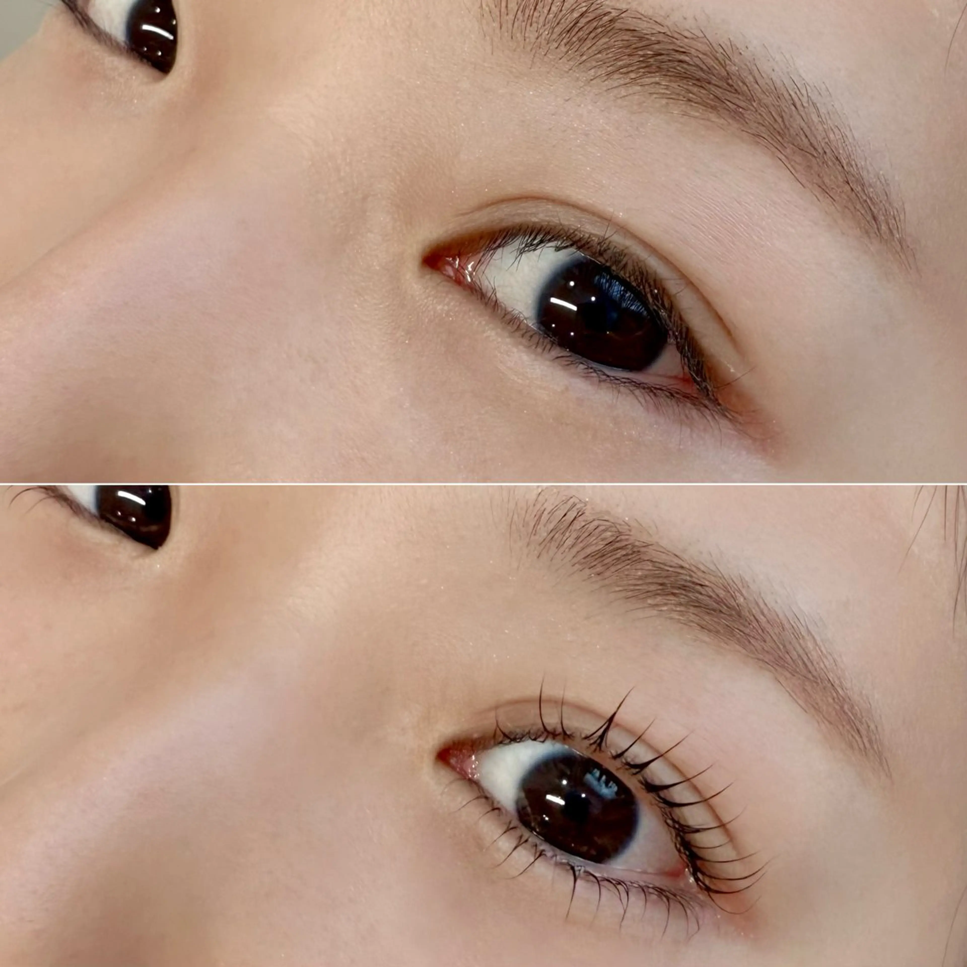 上下まつげパーマコーティング付きの写真