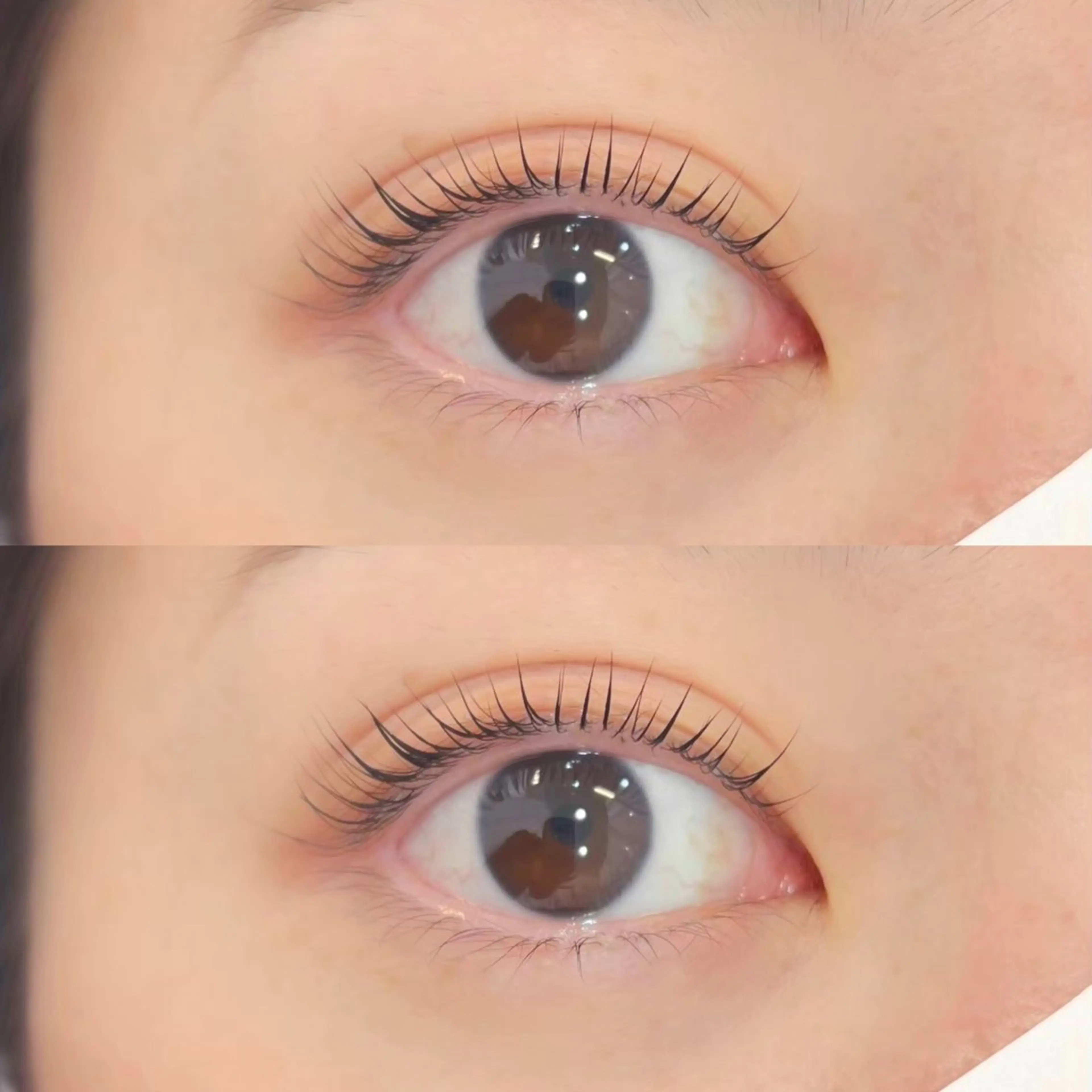 マツエク・マツパ パリジェンヌラッシュリフト マツパ Fiara四条大宮店所属・Fiara れいほのマツエク・マツパデザイン