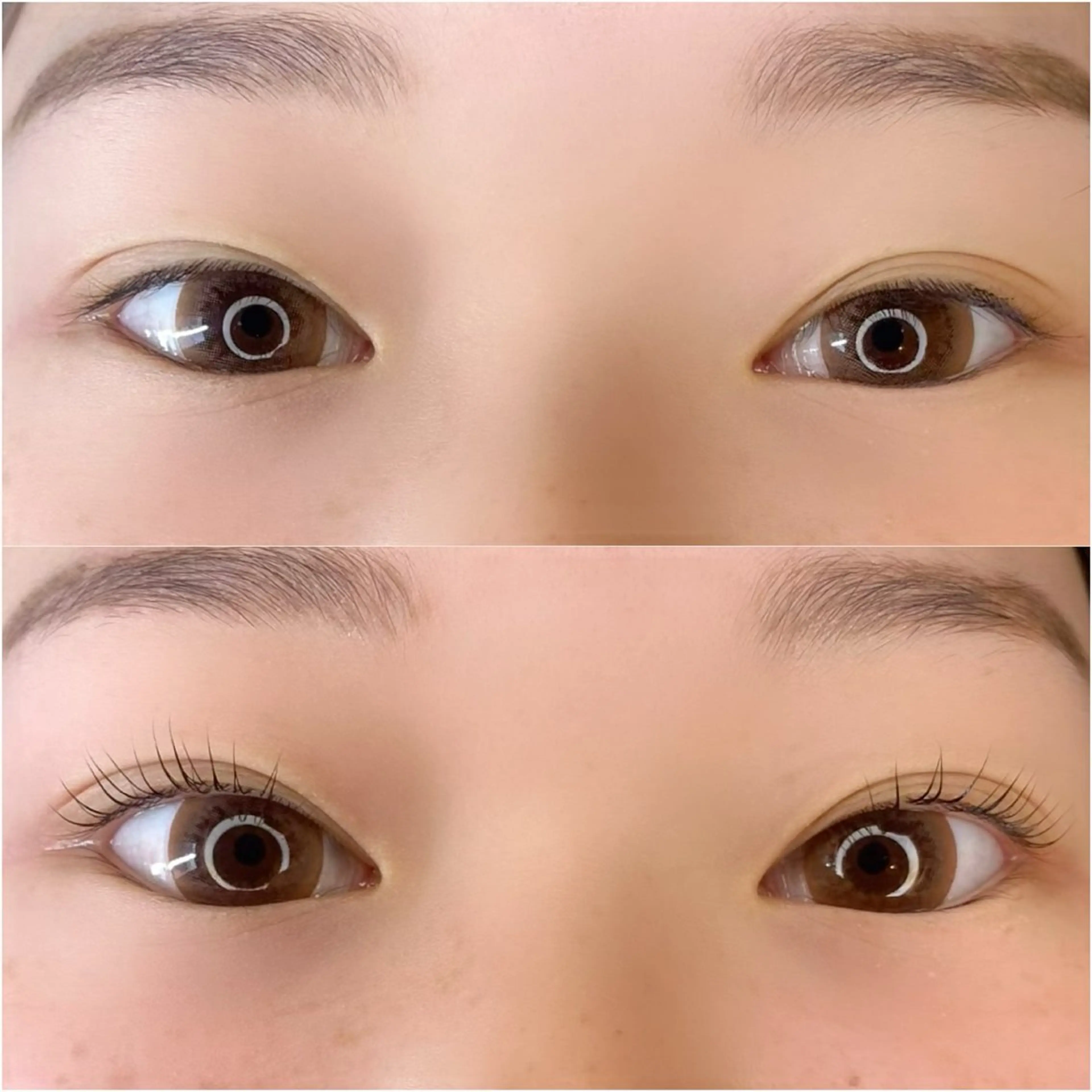 マツエク・マツパ Iris 布谷 真由美のマツエク・マツパデザイン