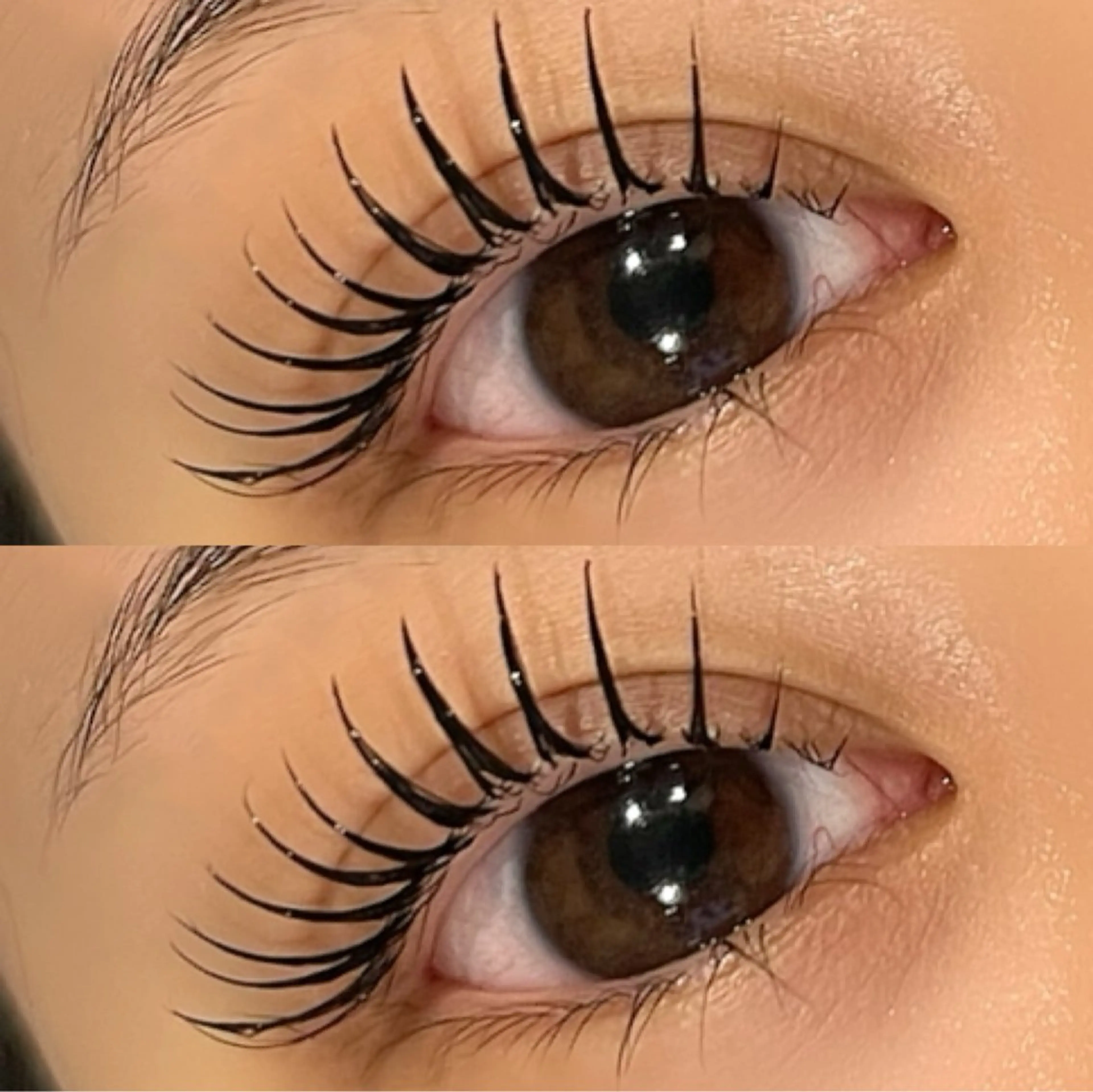 エクステパーマ【クレセンテ】ダブルフラット60の写真