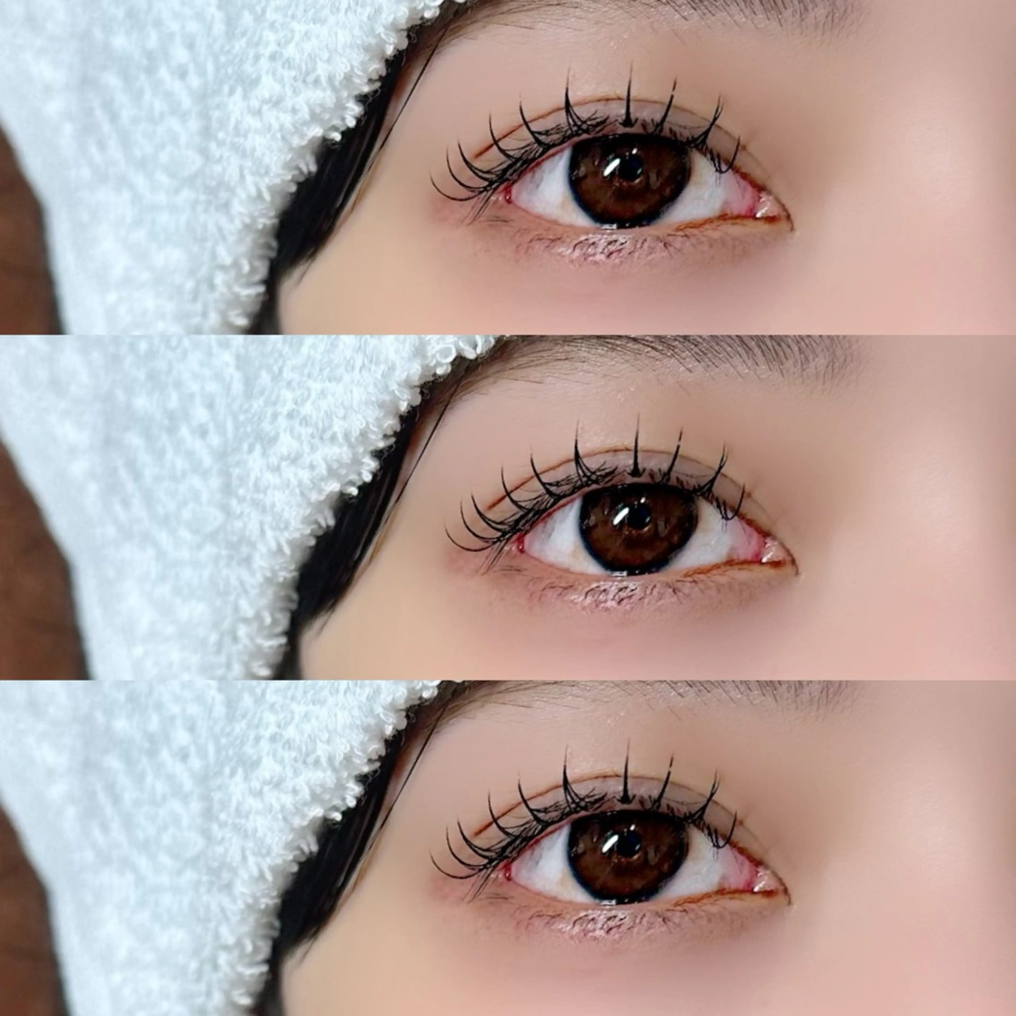 セーブル100本🌟の写真