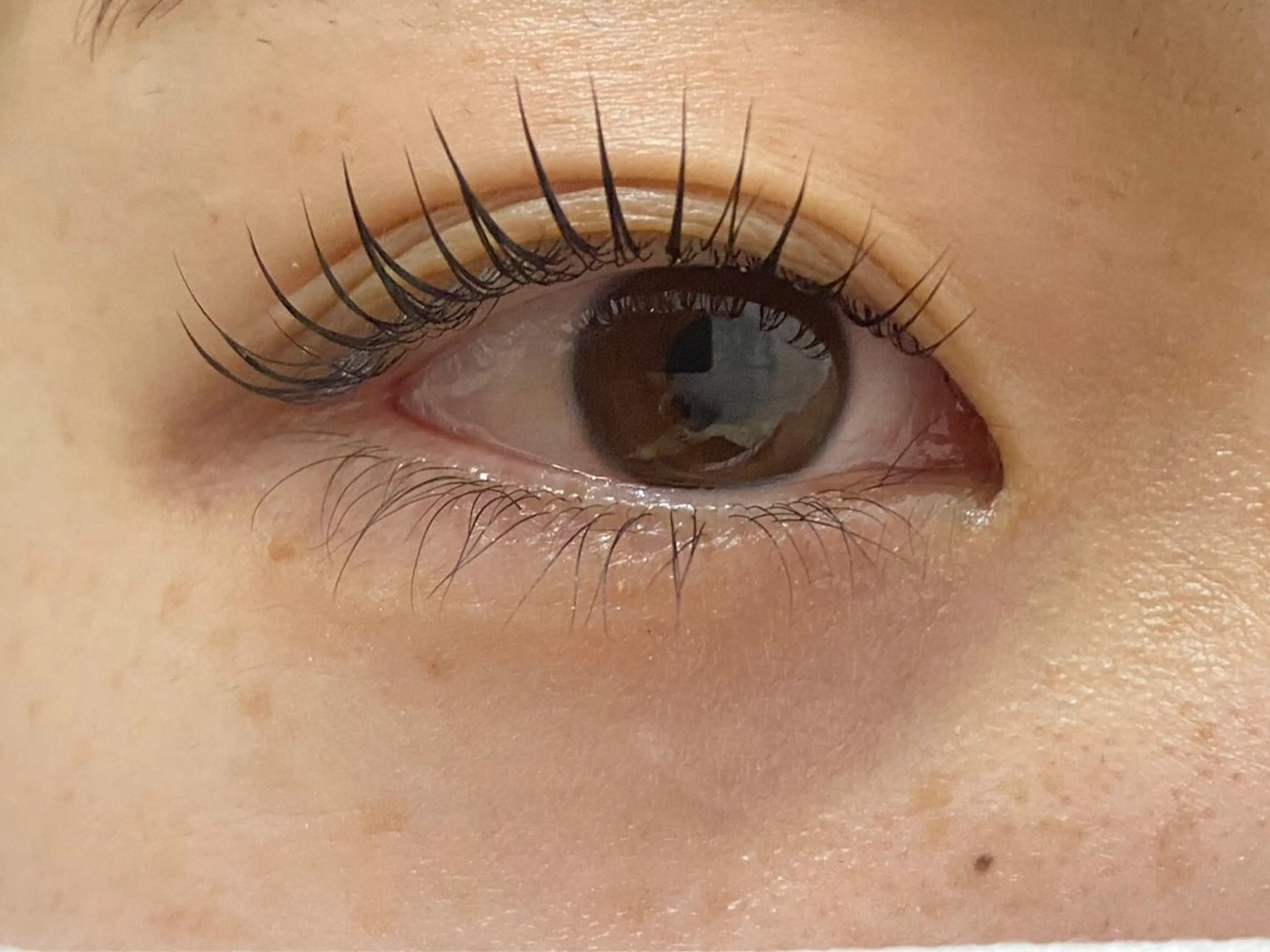 マツエク・マツパ BEL EYE BEAUTYジュンのマツエク・マツパデザイン