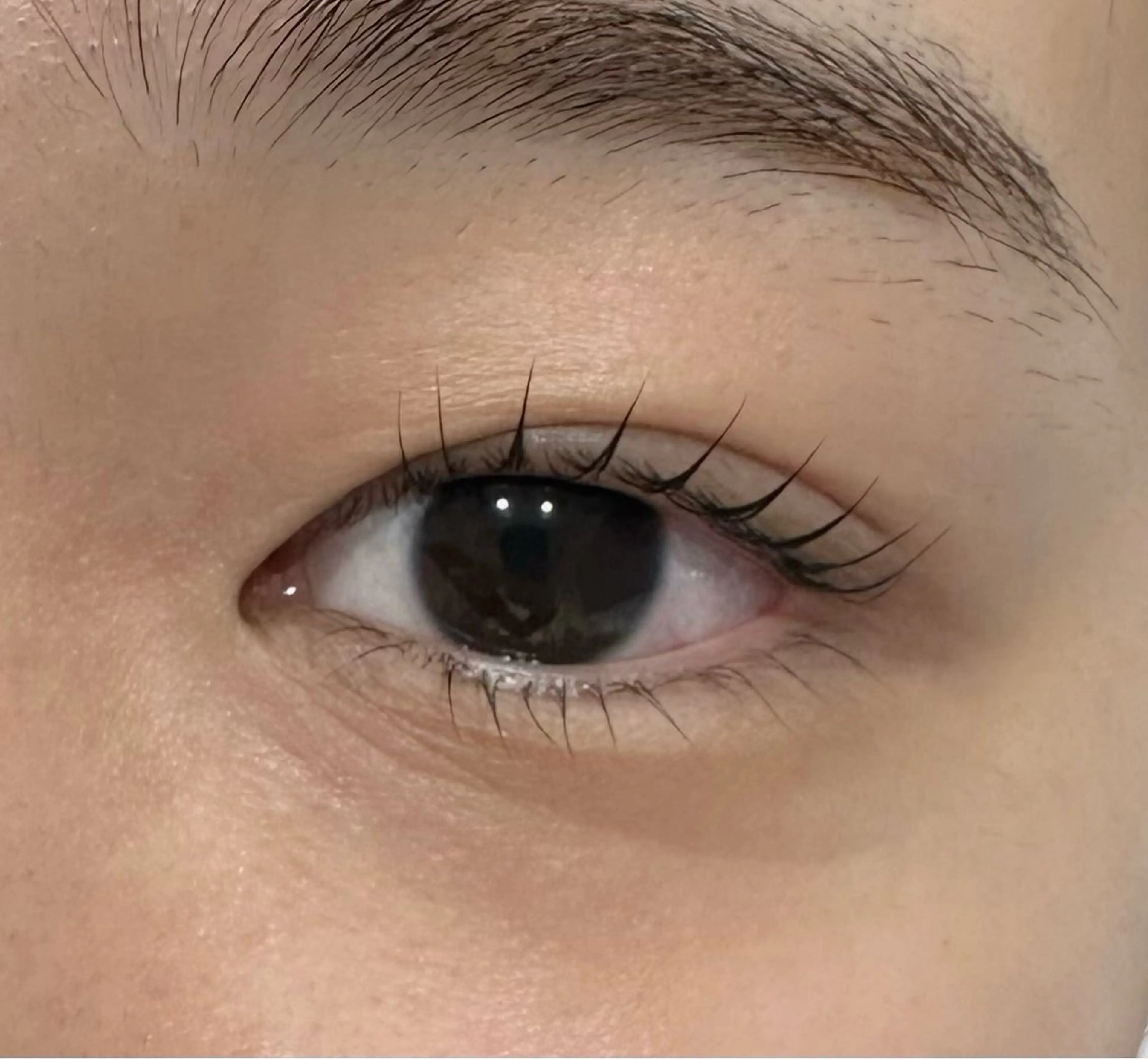 マツエク・マツパ ケラチンラッシュリフト HARIS miyazakiの眉毛・アイブロウイメージ