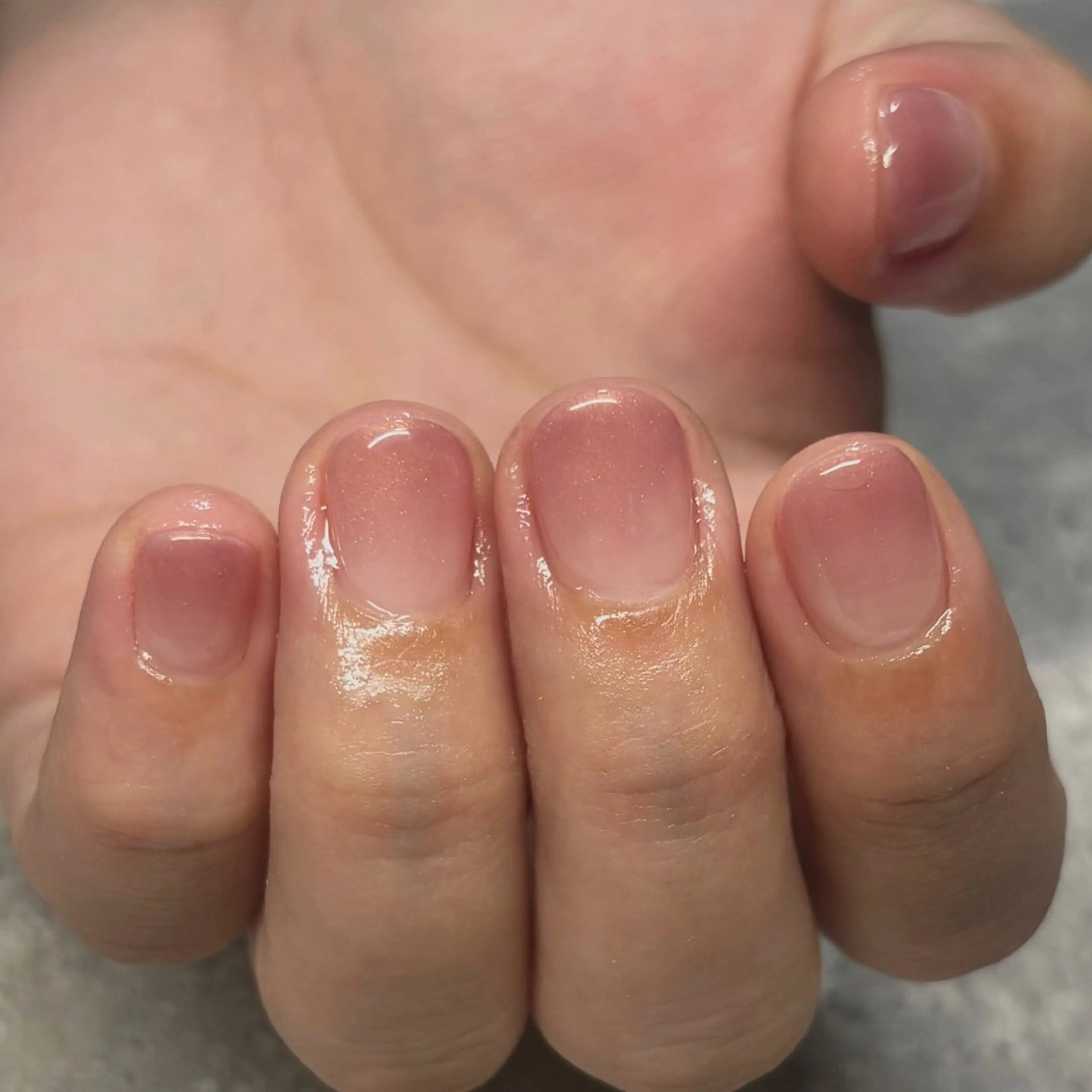 グラデーションの写真