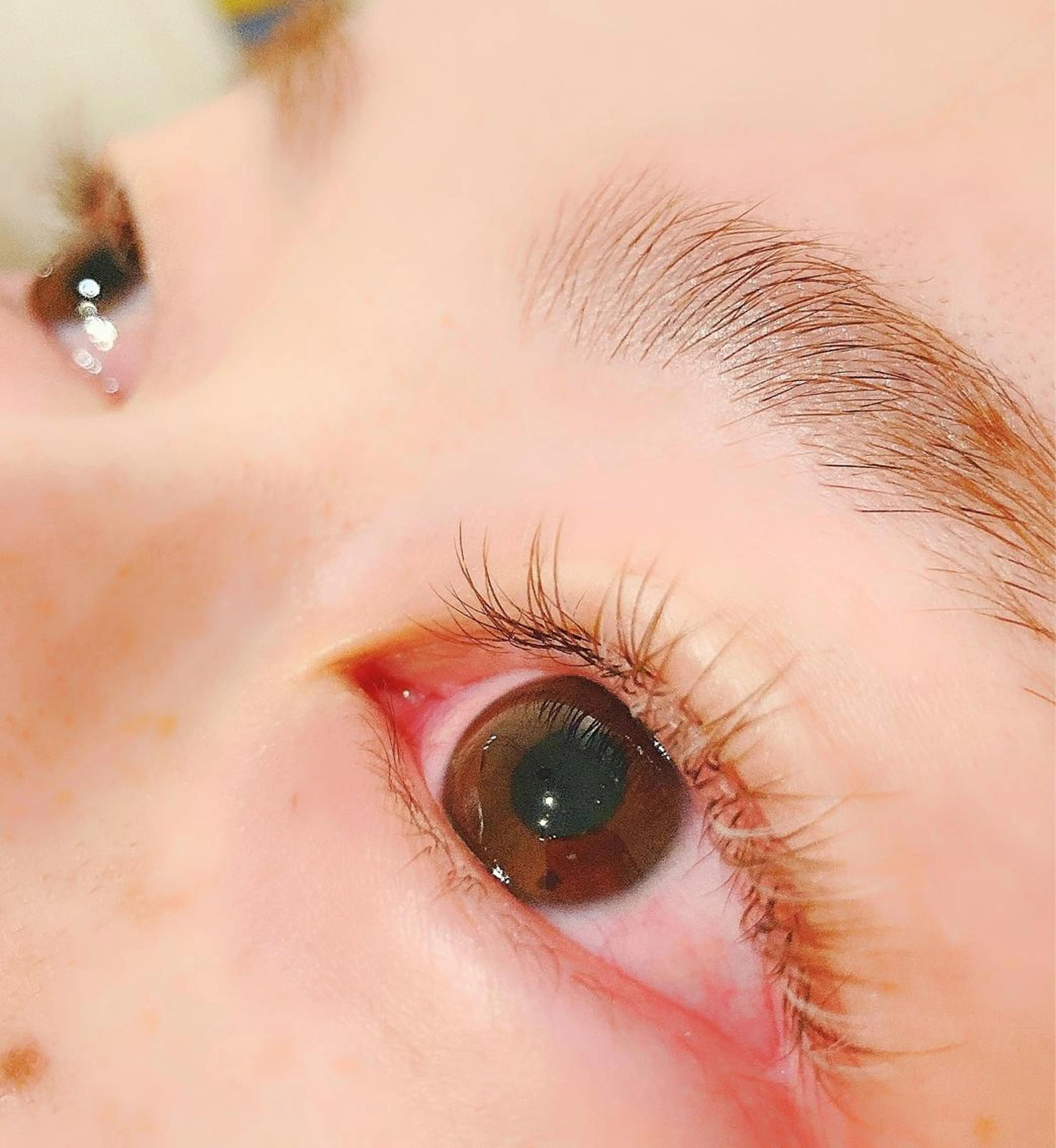 マツエク・マツパ Cカール カラーマツエク ボリュームラッシュ L'Allure所属・野上 好乃のマツエク・マツパデザイン