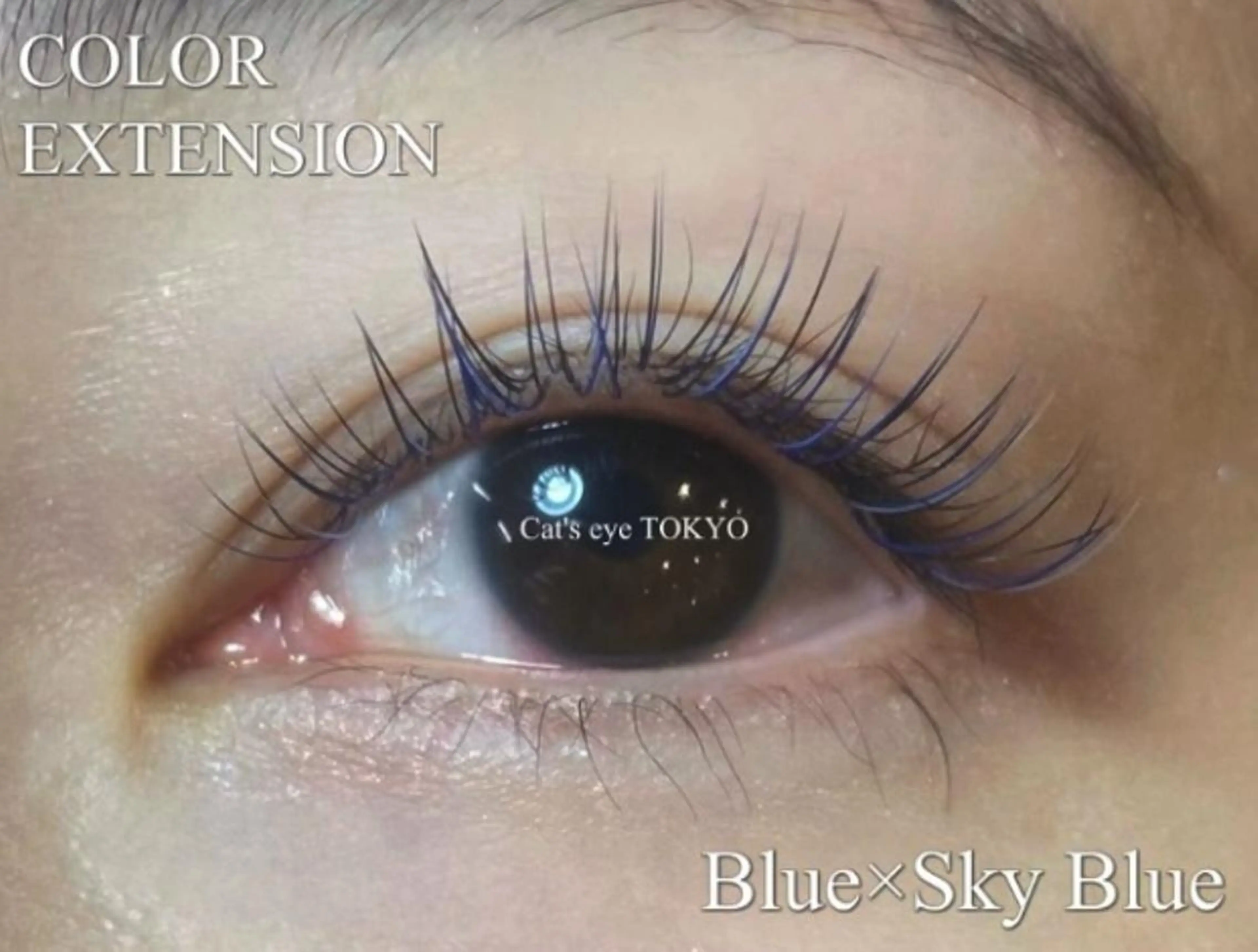 マツエク・マツパ 束感まつ毛 フラットラッシュ セーブル Cat's eye TOKYO 新宿店のネイルデザイン