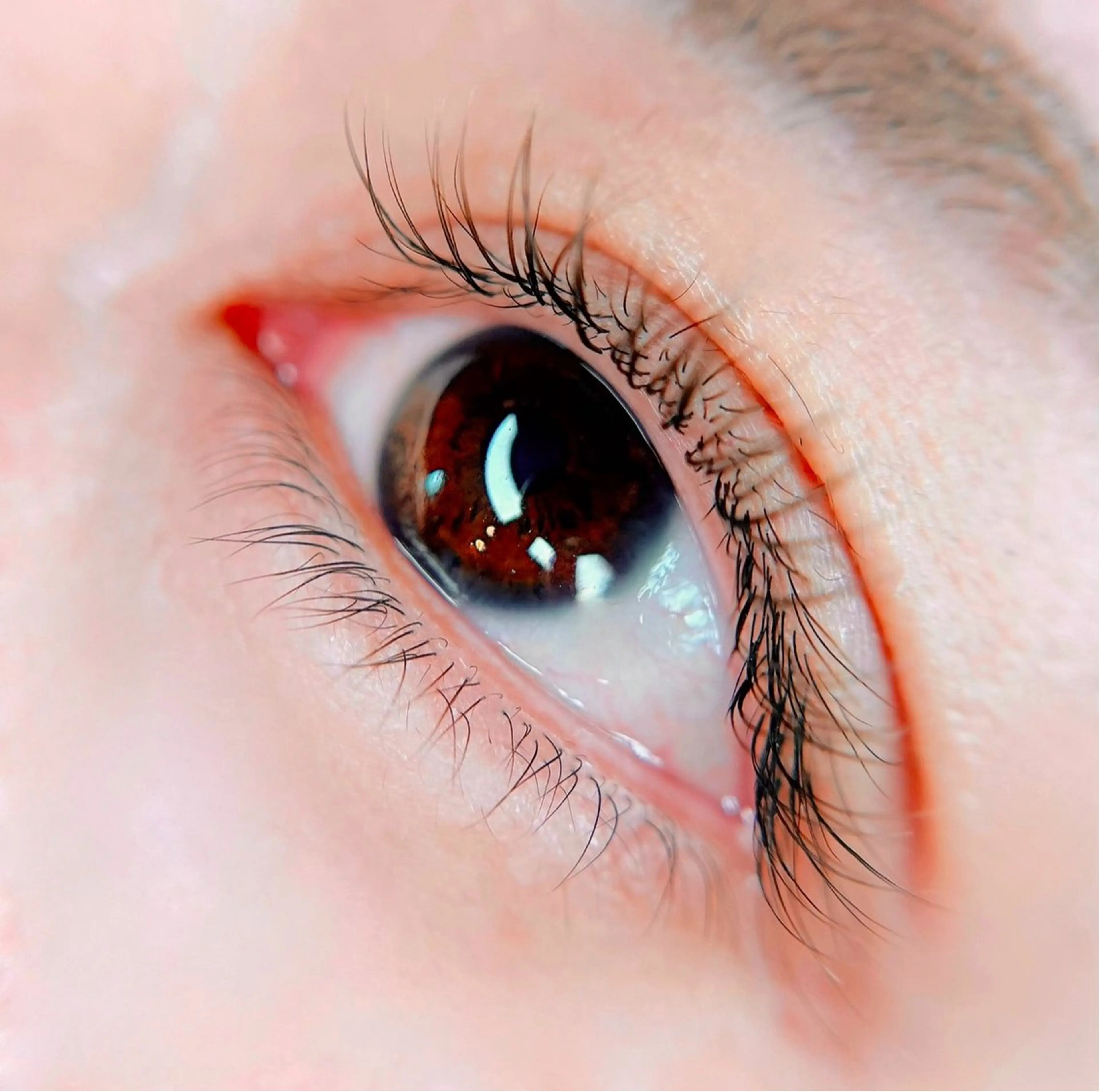 【ミニモ学割】LEDまつげエクステフラットラッシュ80本¥6,500❣️高持続LEDマツエク✨ベテランスタッフが施術！の写真