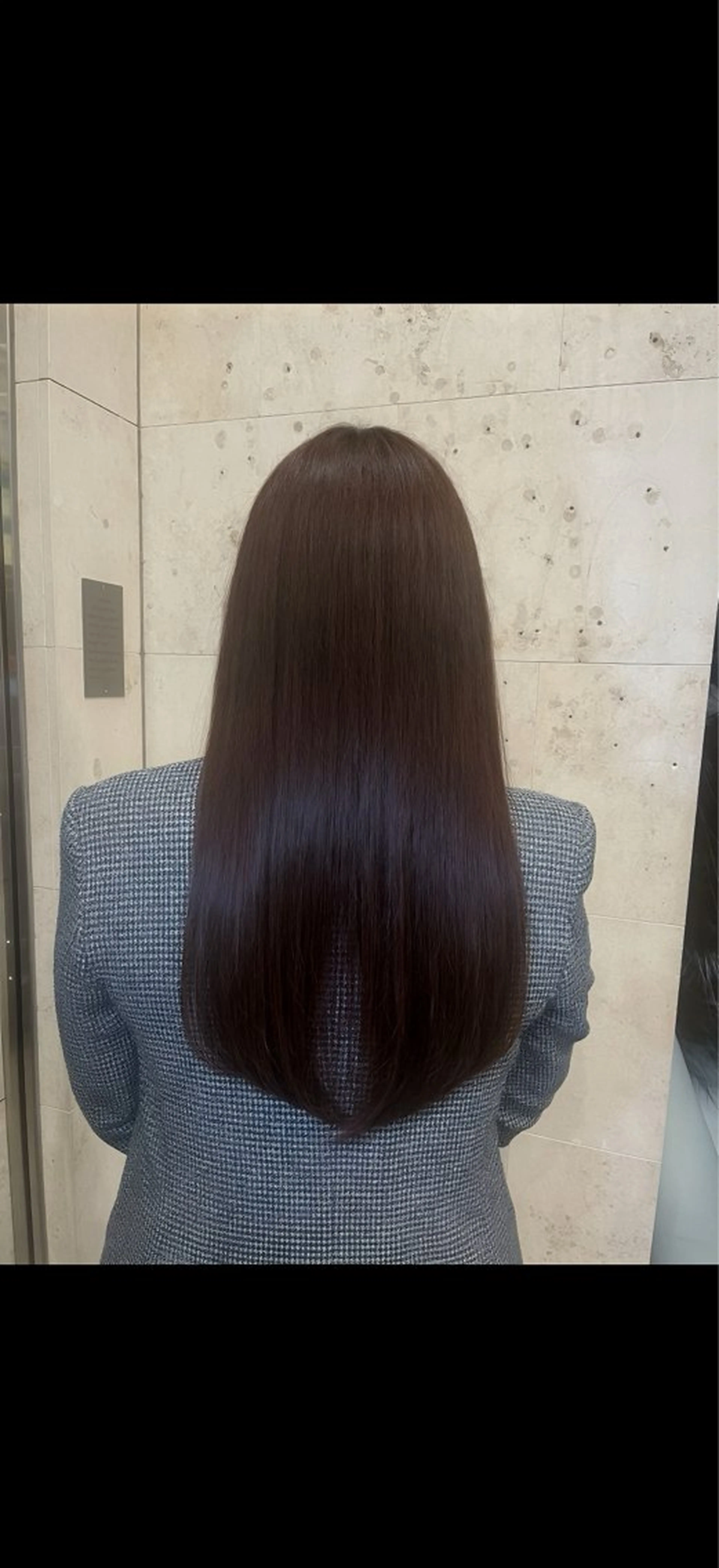 ファッションカラーの写真