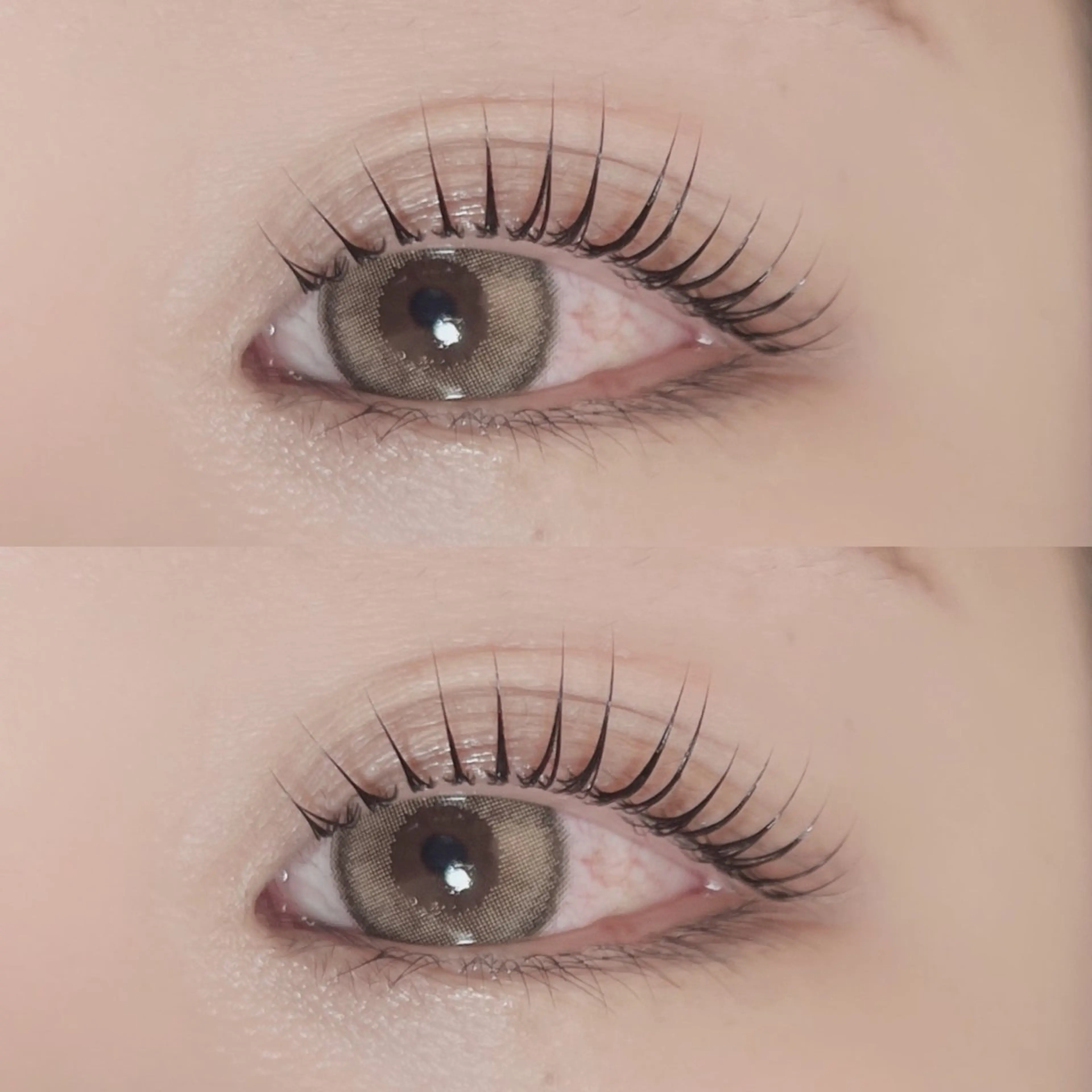 【コーティング仕上げ付🌷】人気NO.1🫧ダメージレス上ケラチンラッシュリフト(デザインパーマ)の写真